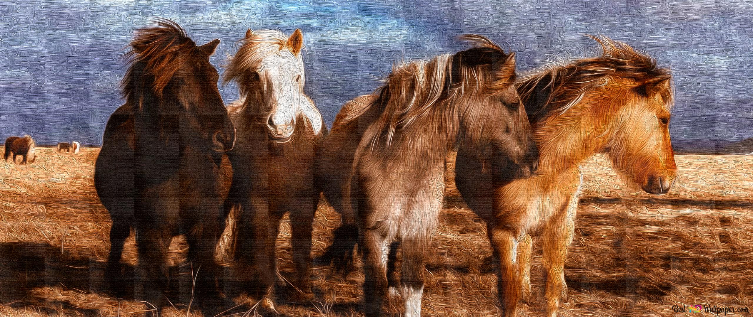 Photography Ponies Wallpaper