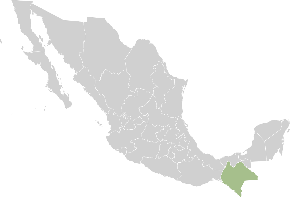 Chiapas Conflict Wikipedia