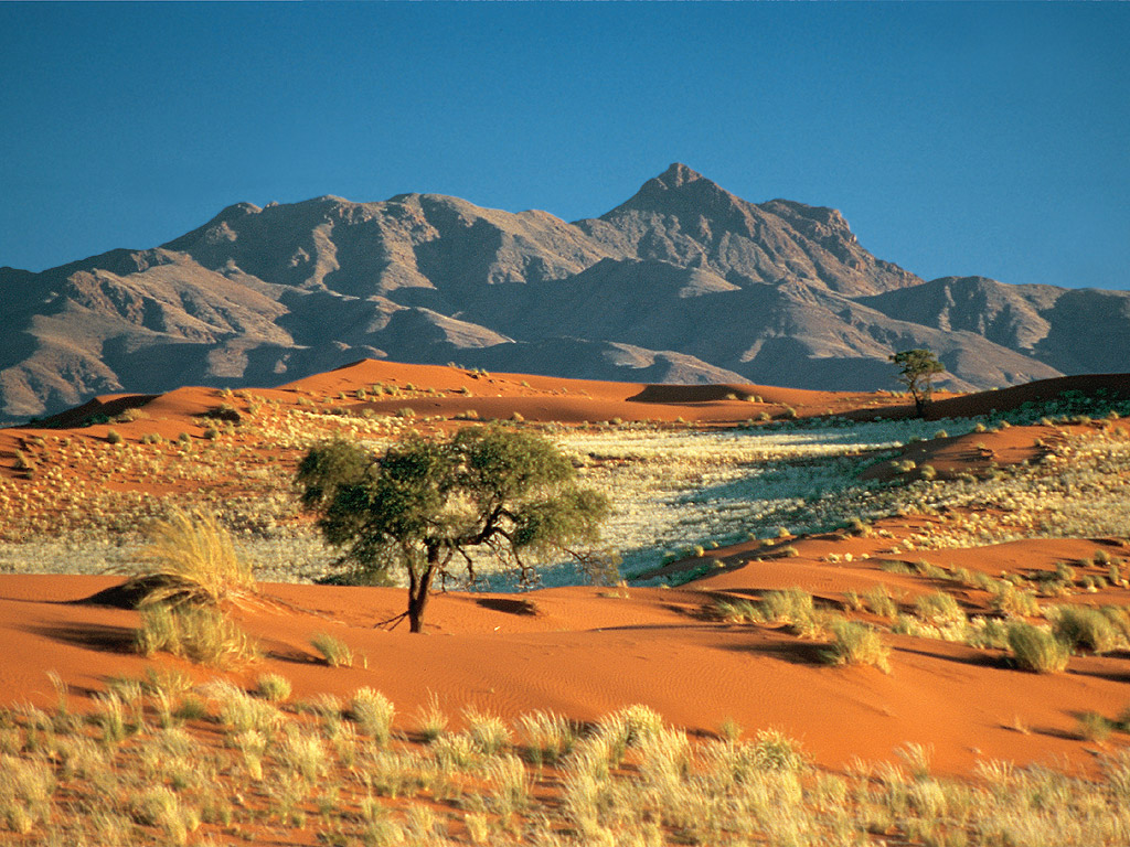 From Desert Landscape Pictures Wallpaper