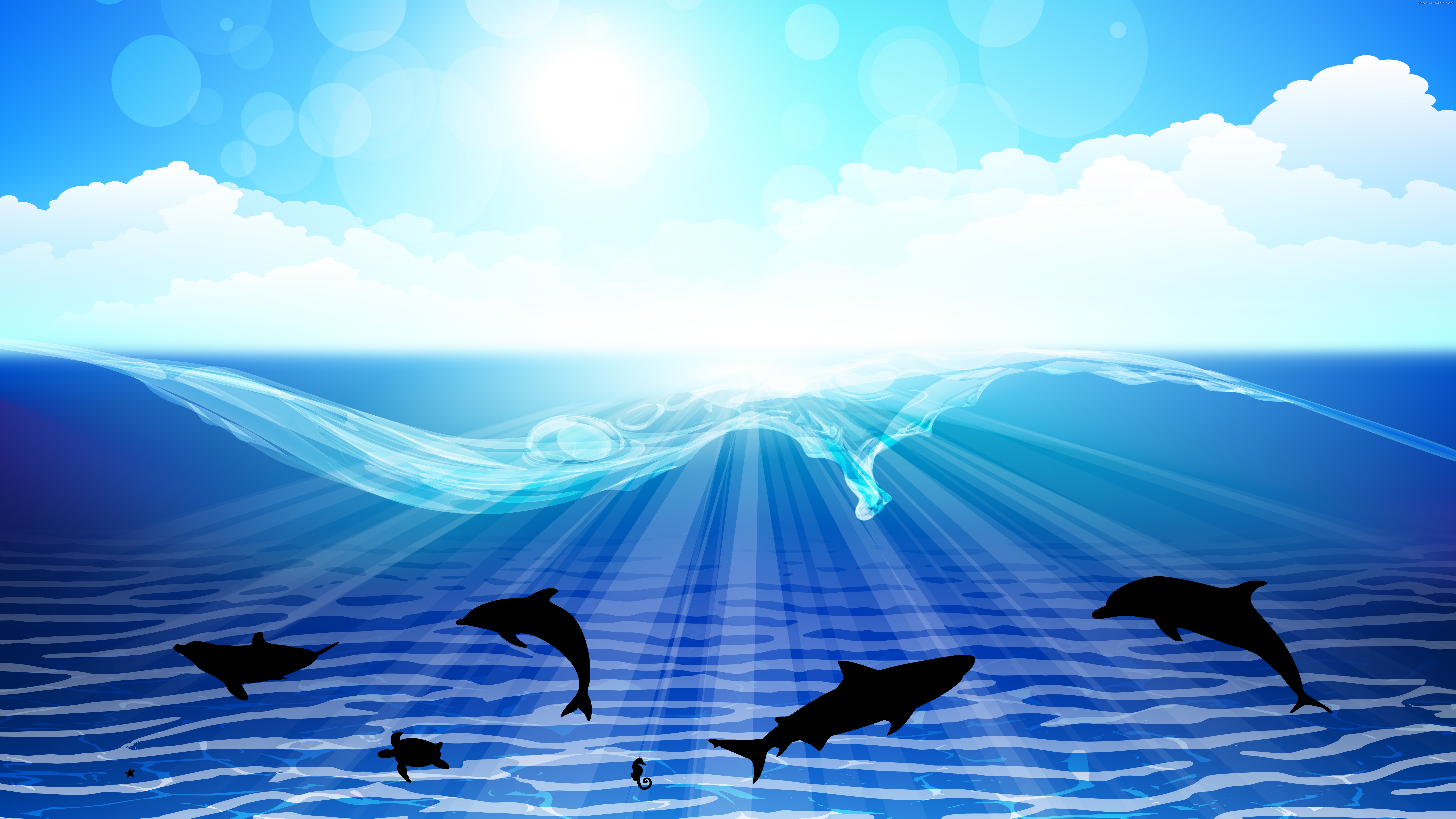 Free sea dolphin Ultra HD wallpapers 8K 7680x4320 4K 3840x2160