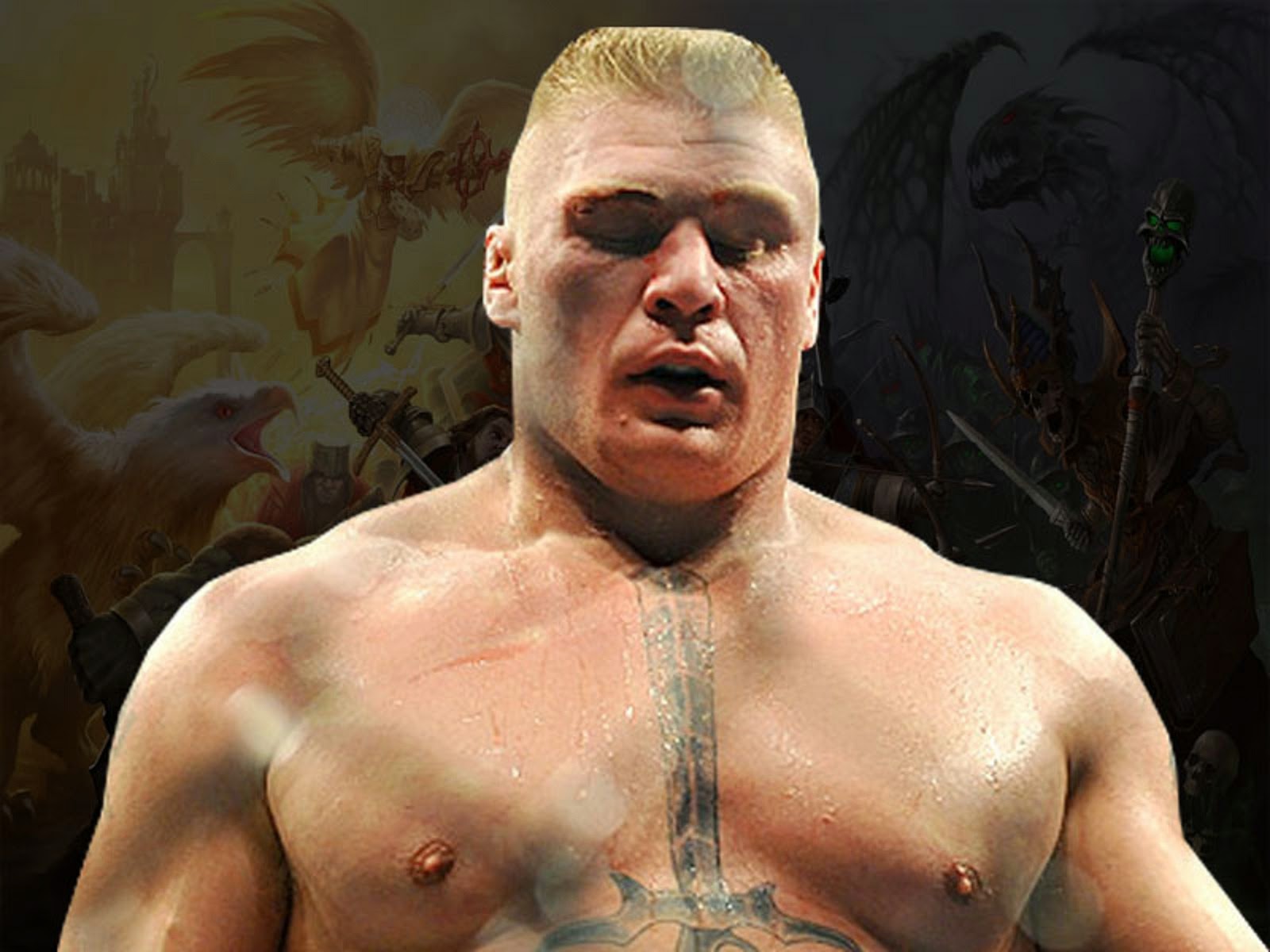 Free download Brock Lesnar Hd Wallpapers WWE HD WALLPAPER FREE DOWNLOAD