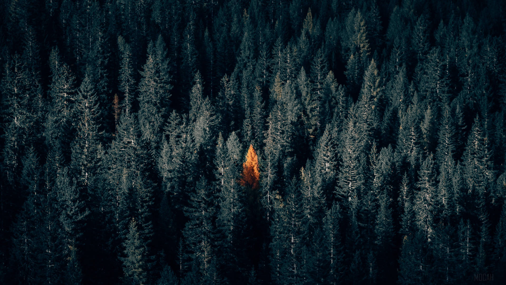 Unique HD Wallpaper