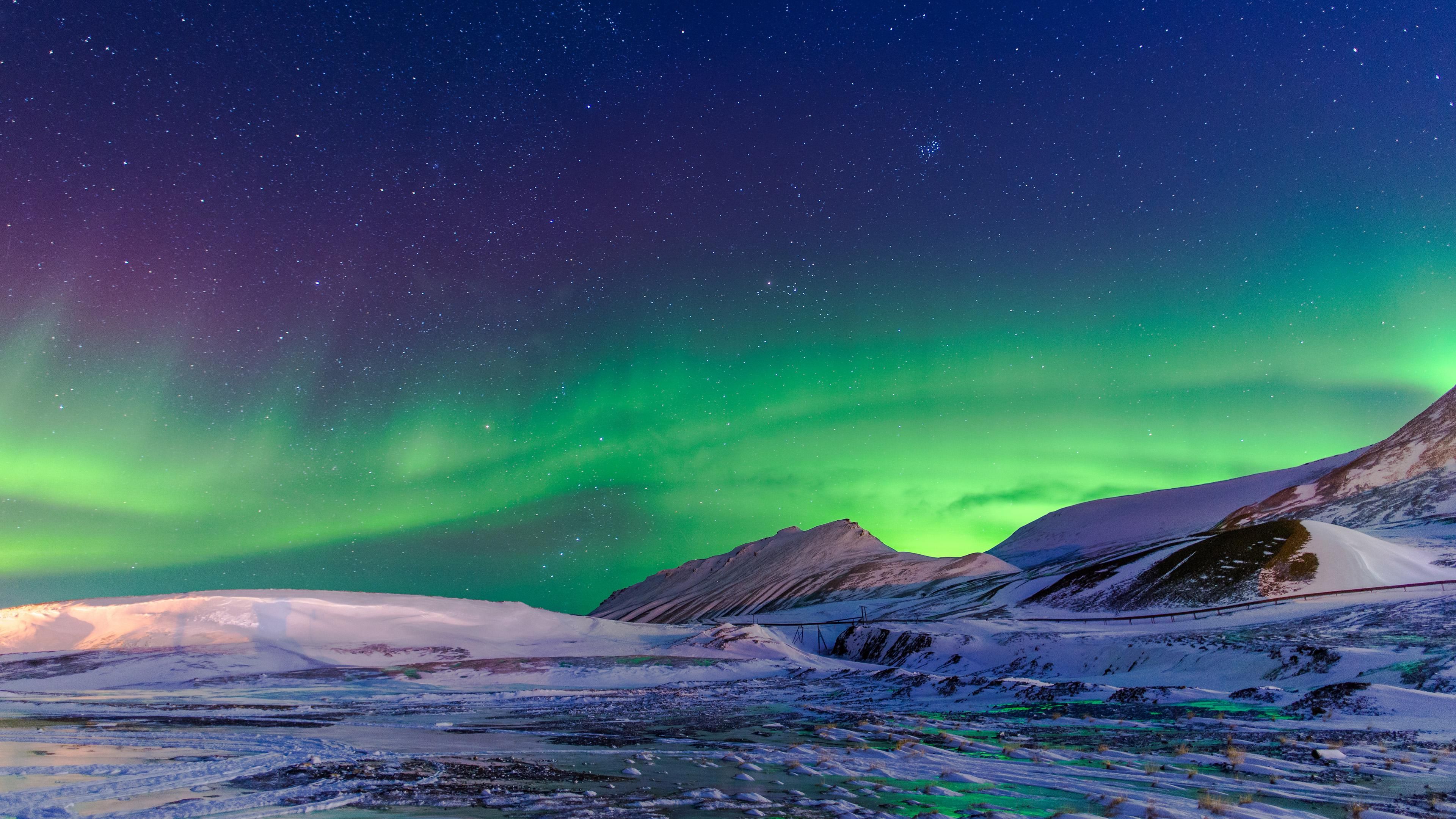 Aurora Borealis In Svalbard Norway Northern Lights