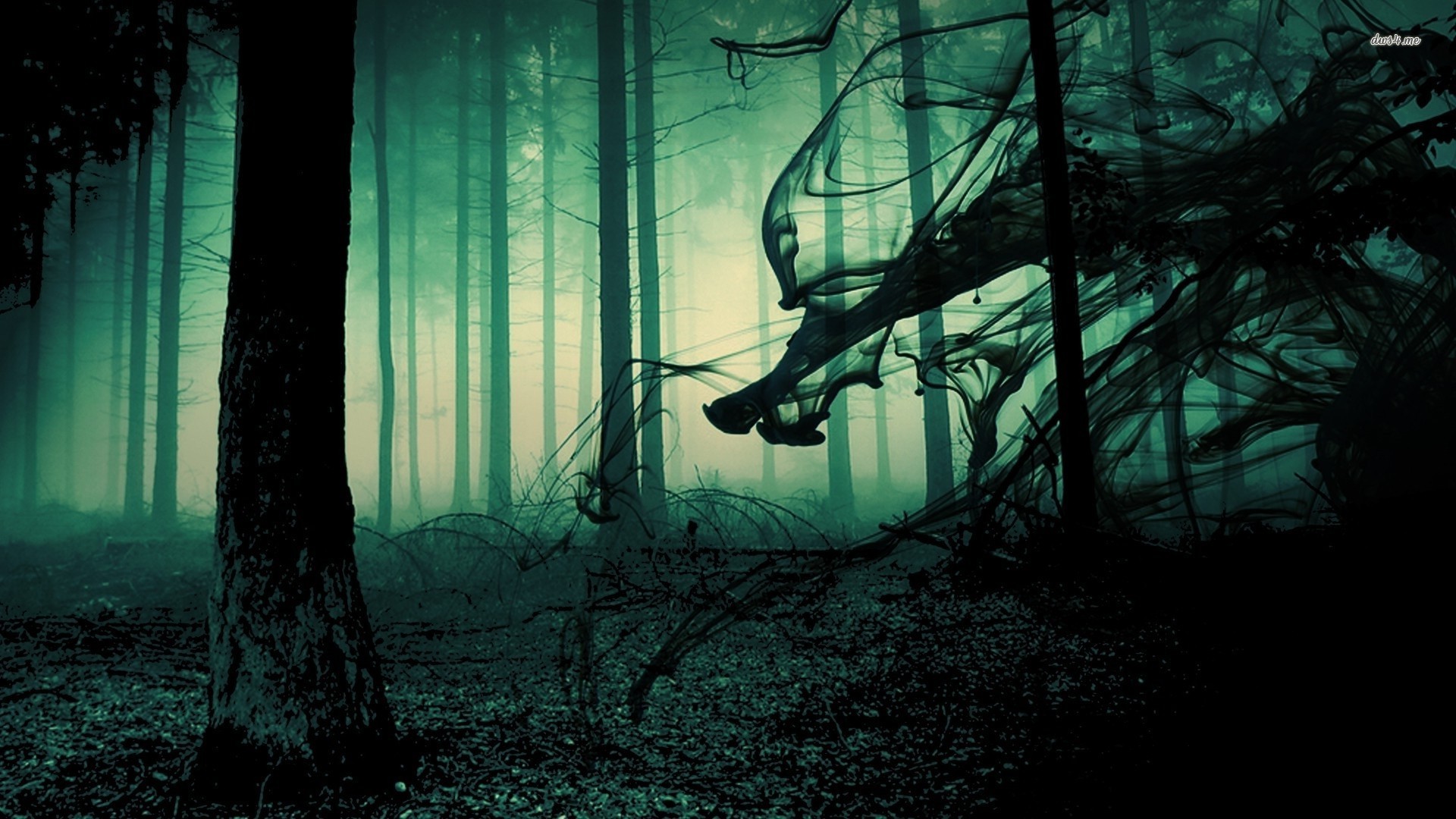 Creepy Forest Wallpaper HD