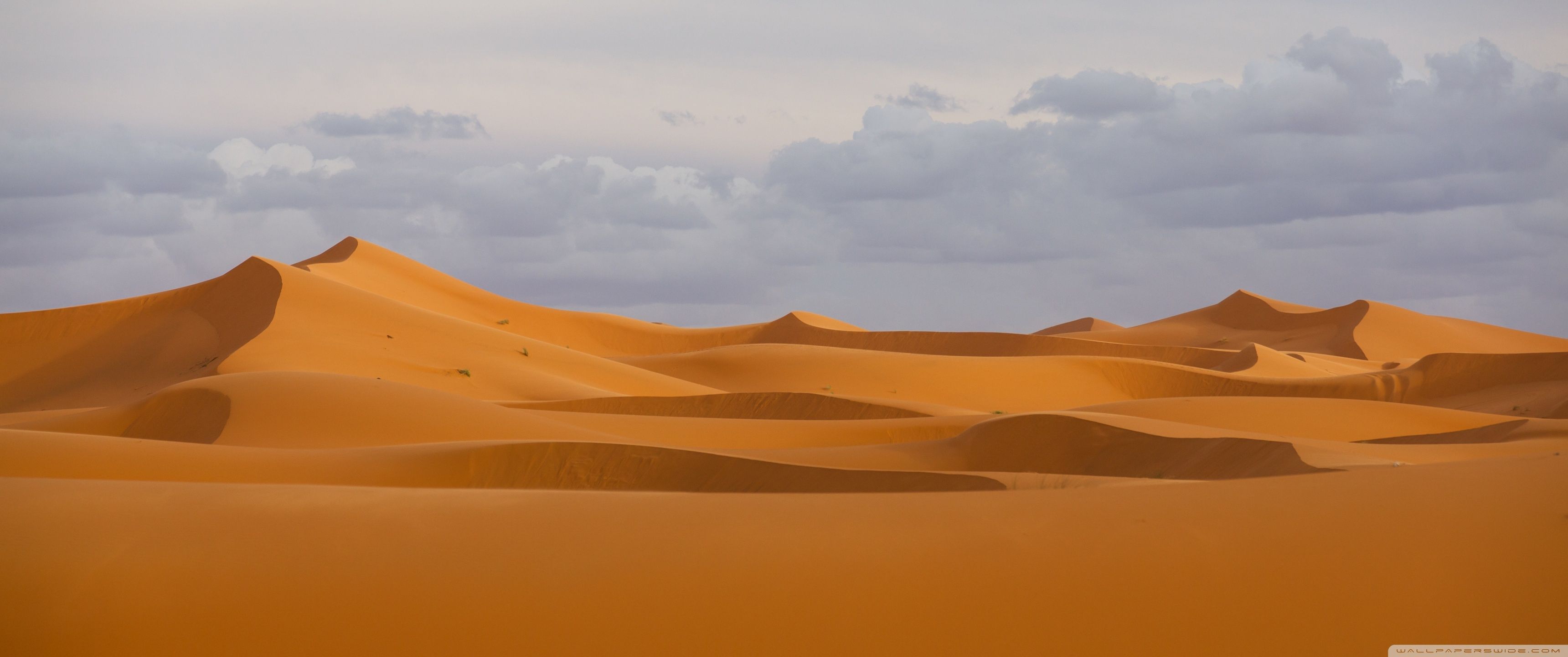 Desert Wallpapers   Top Free Desert Backgrounds