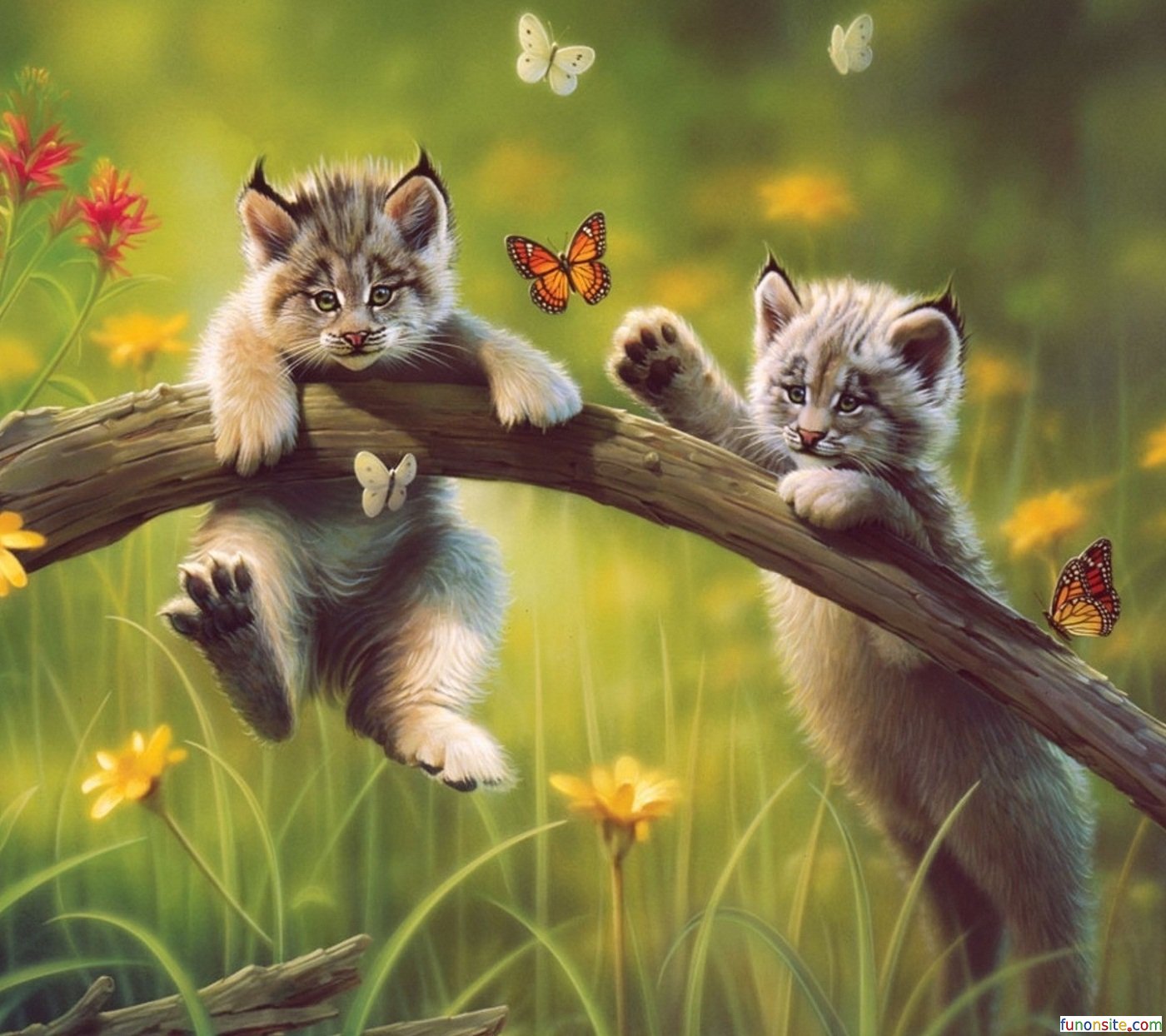 Animal Wallpaper Very Cute For