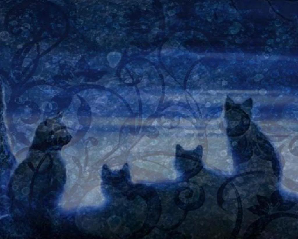 Pin Warrior Cats Wallpaper Desktop Background