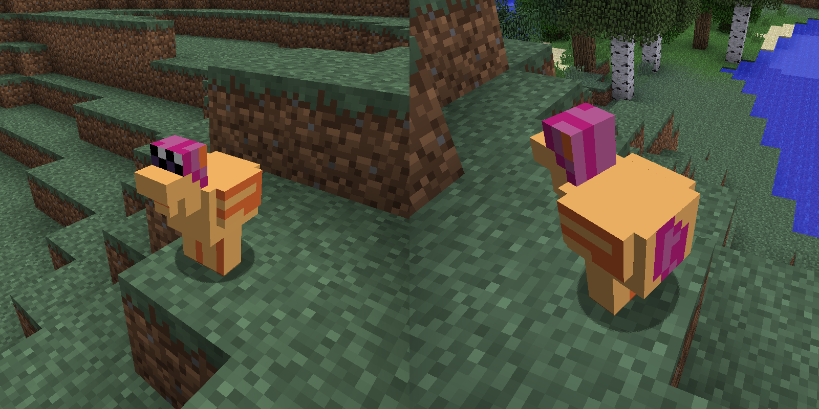 Minecraft Chicken Scootaloo Texture Pack By Thorinair