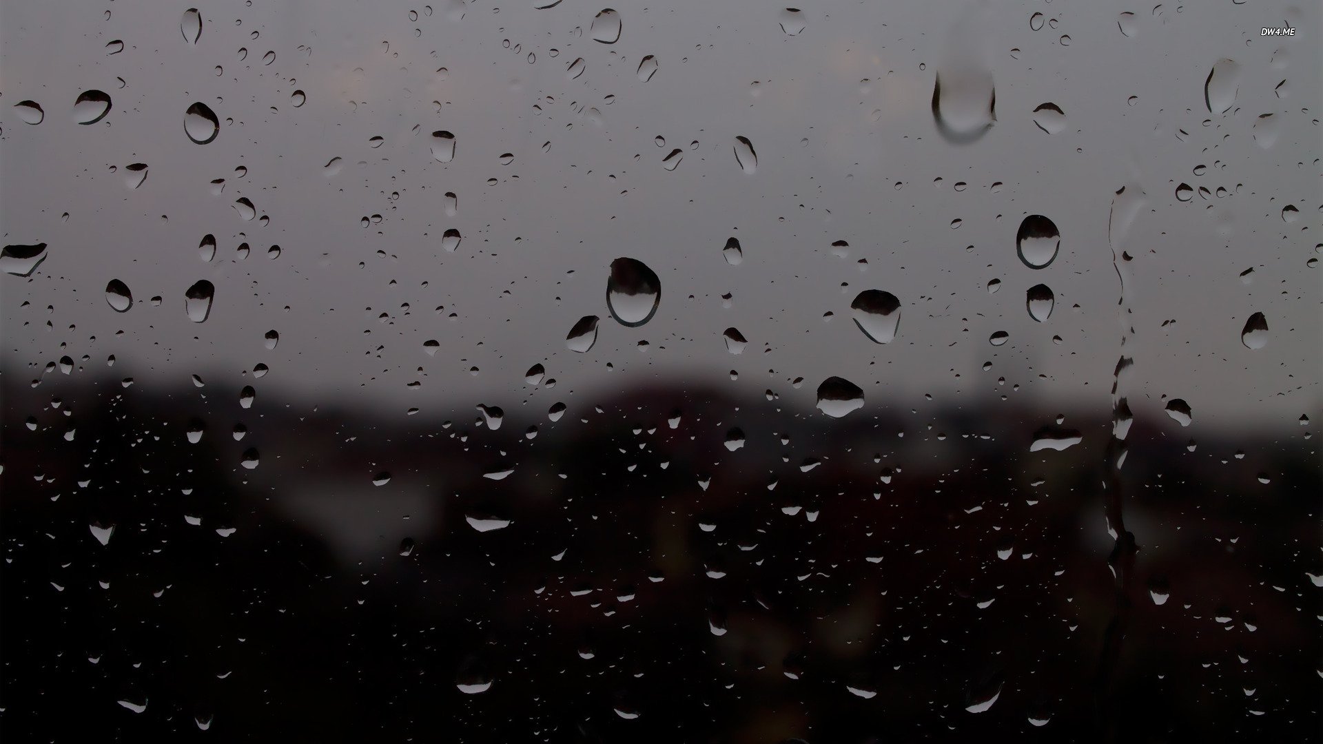 Raindrops on the window wallpaper   Photography wallpapers   587