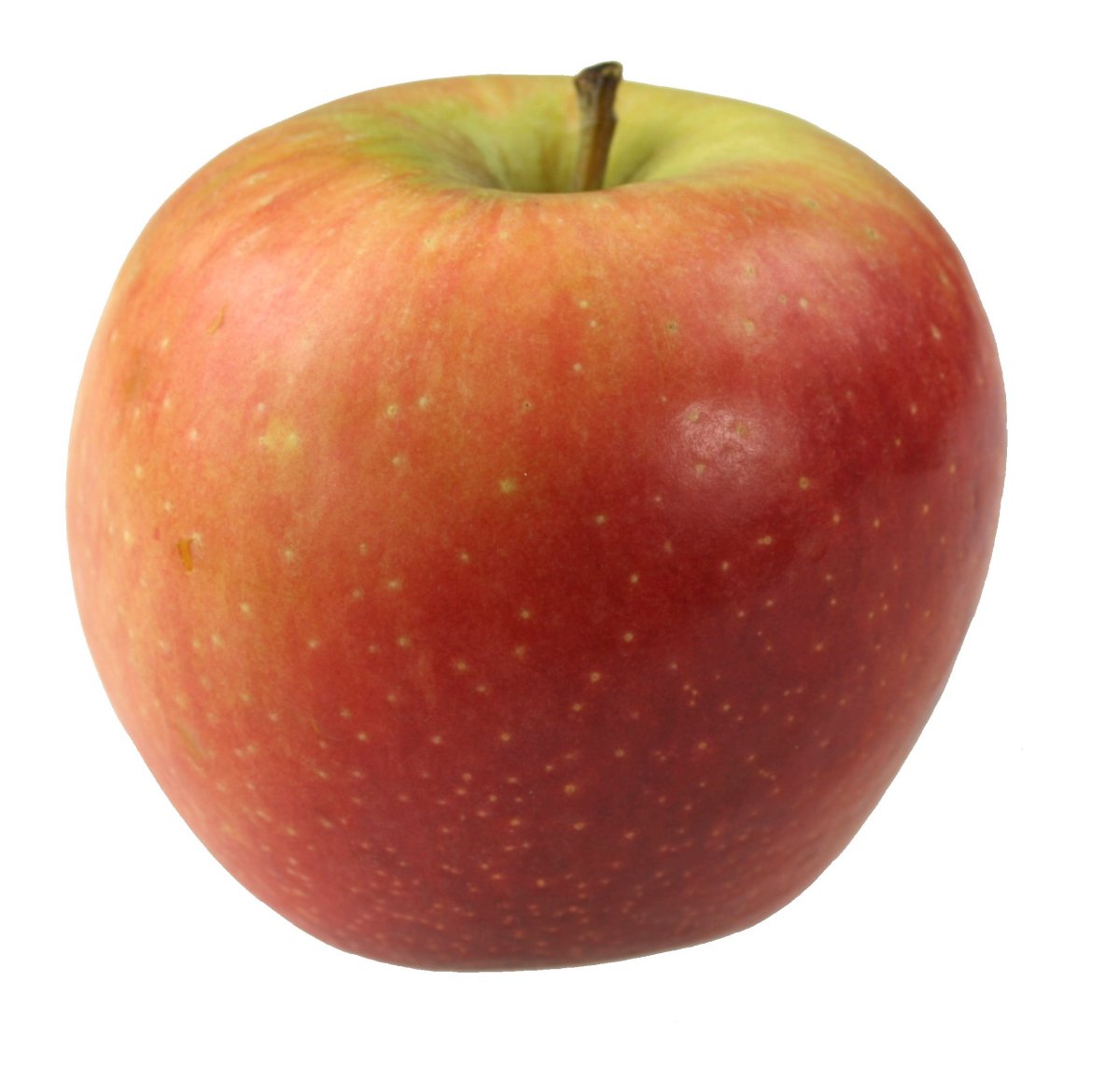 Apple01 Lg Wallpaper