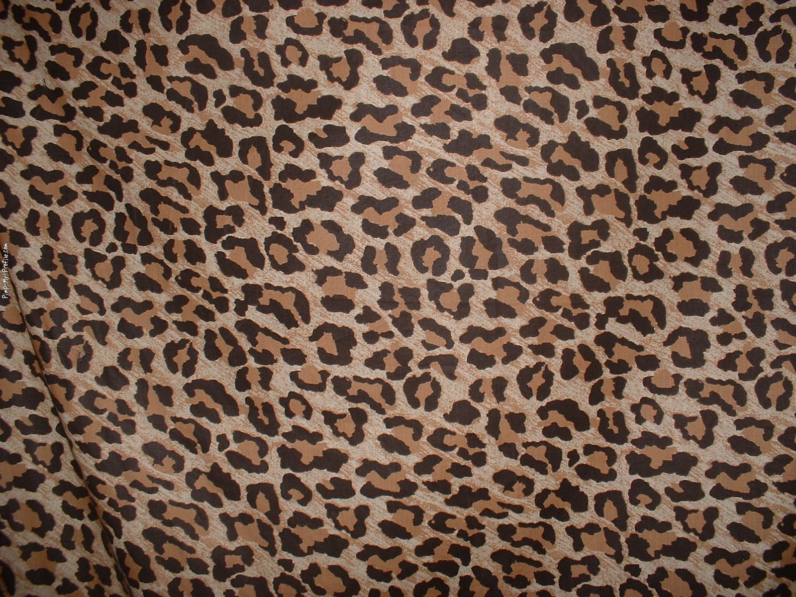Leopard print Backgrounds