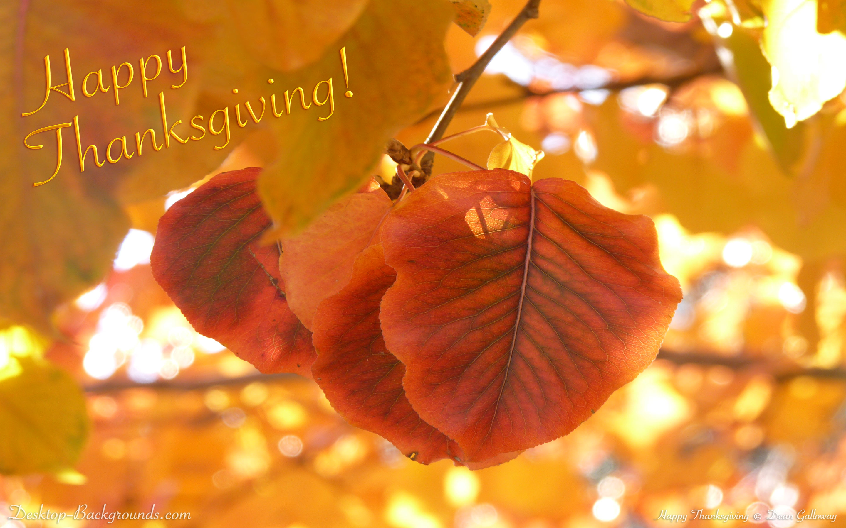 Best Turkey Desktop Background Beautiful