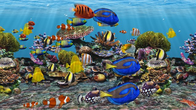3d Fish School Aquarium Dvd Screensaver For Tv