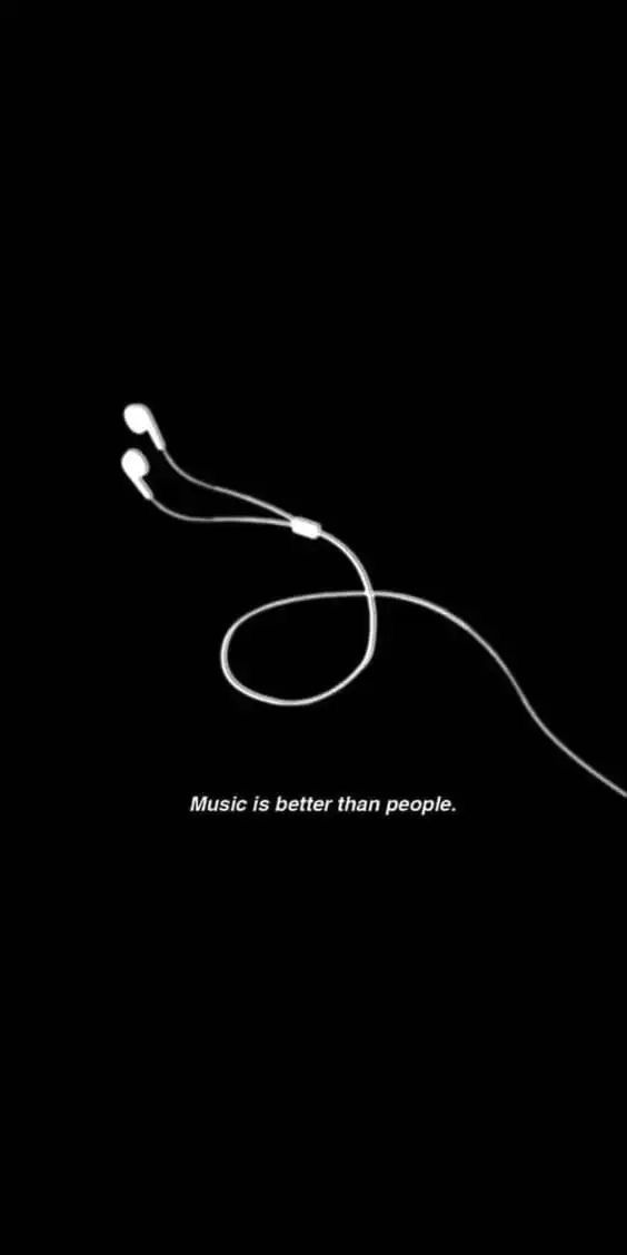 Music Memes Wallpaper