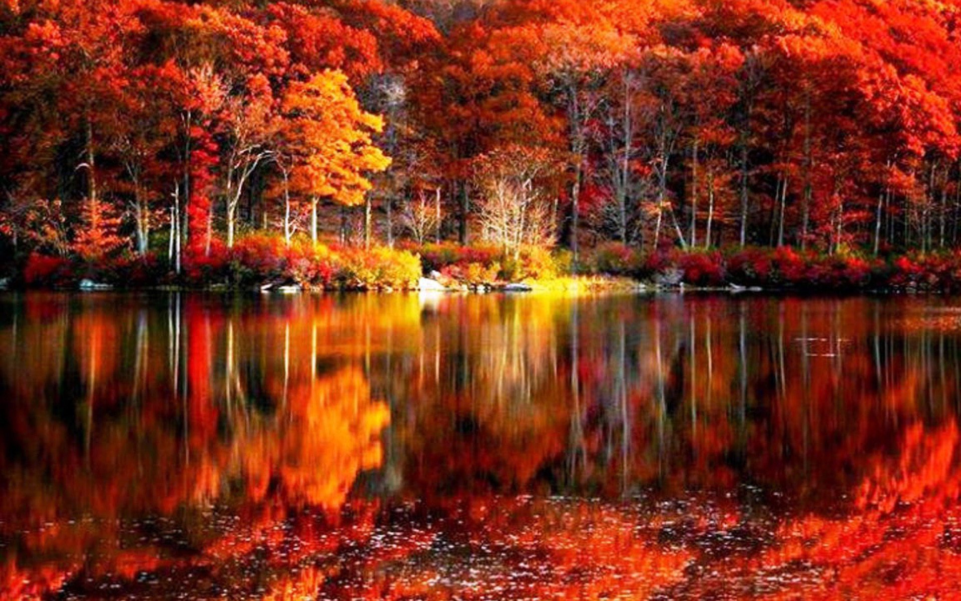 Vivid autumn foliage reflected in a calm lake, creating a stunning display of fall colors