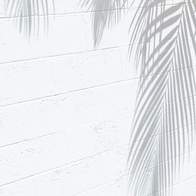 White Aesthetic Picture Wallpaper