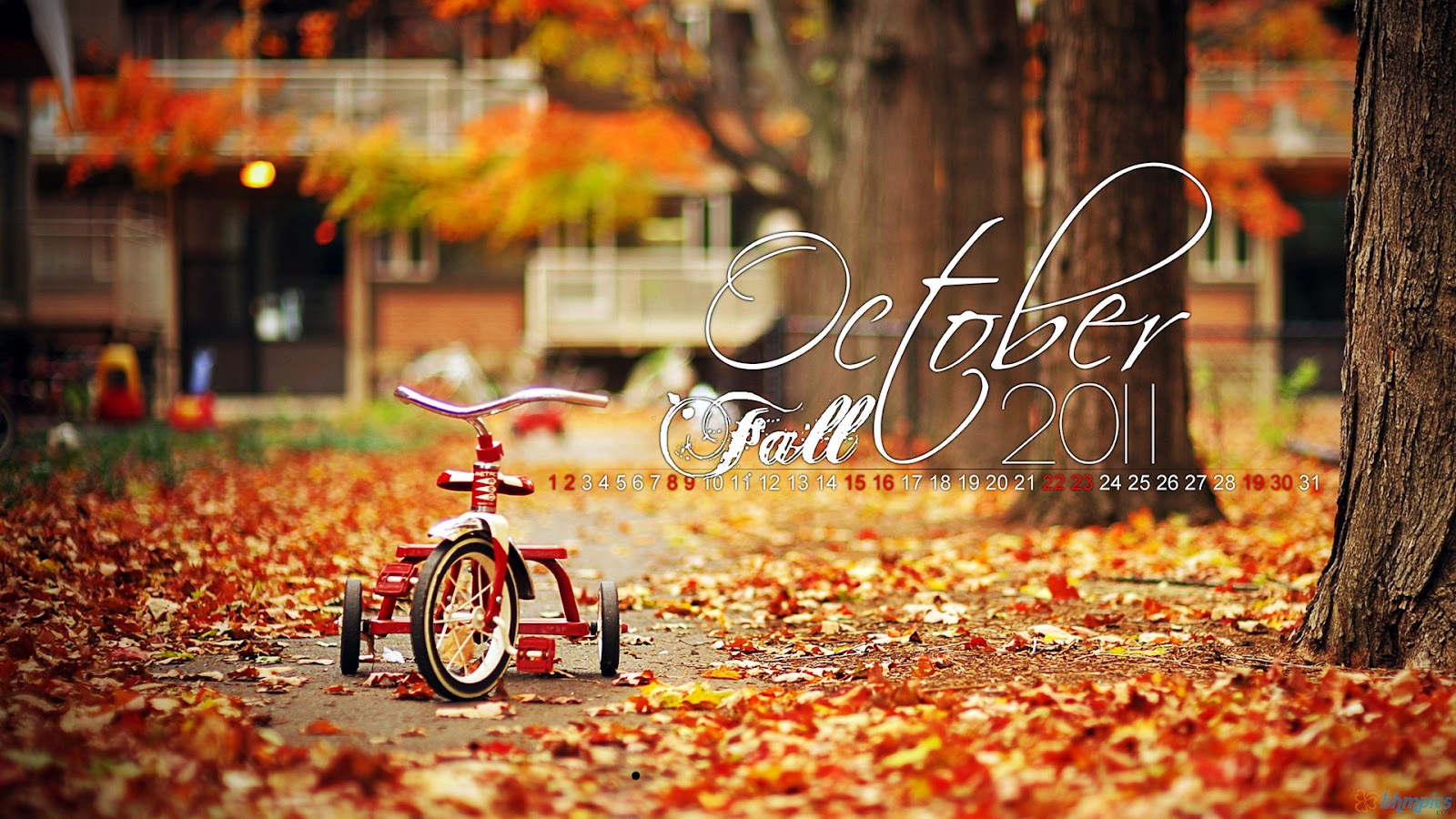 Fall October Calendar Wallpaper Autumn