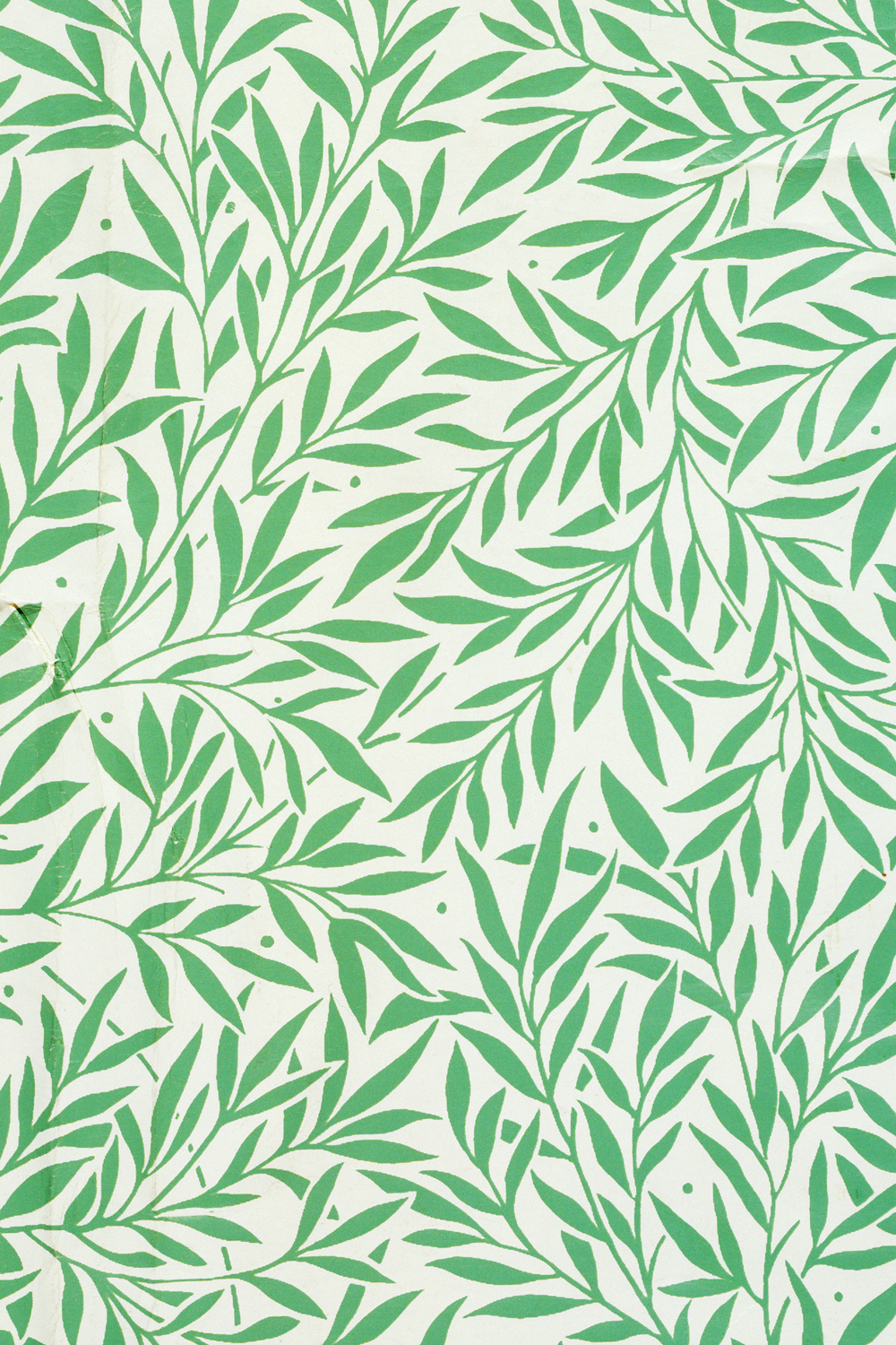 Wallpaper Detail Adapted From William Morris S Willow Design For