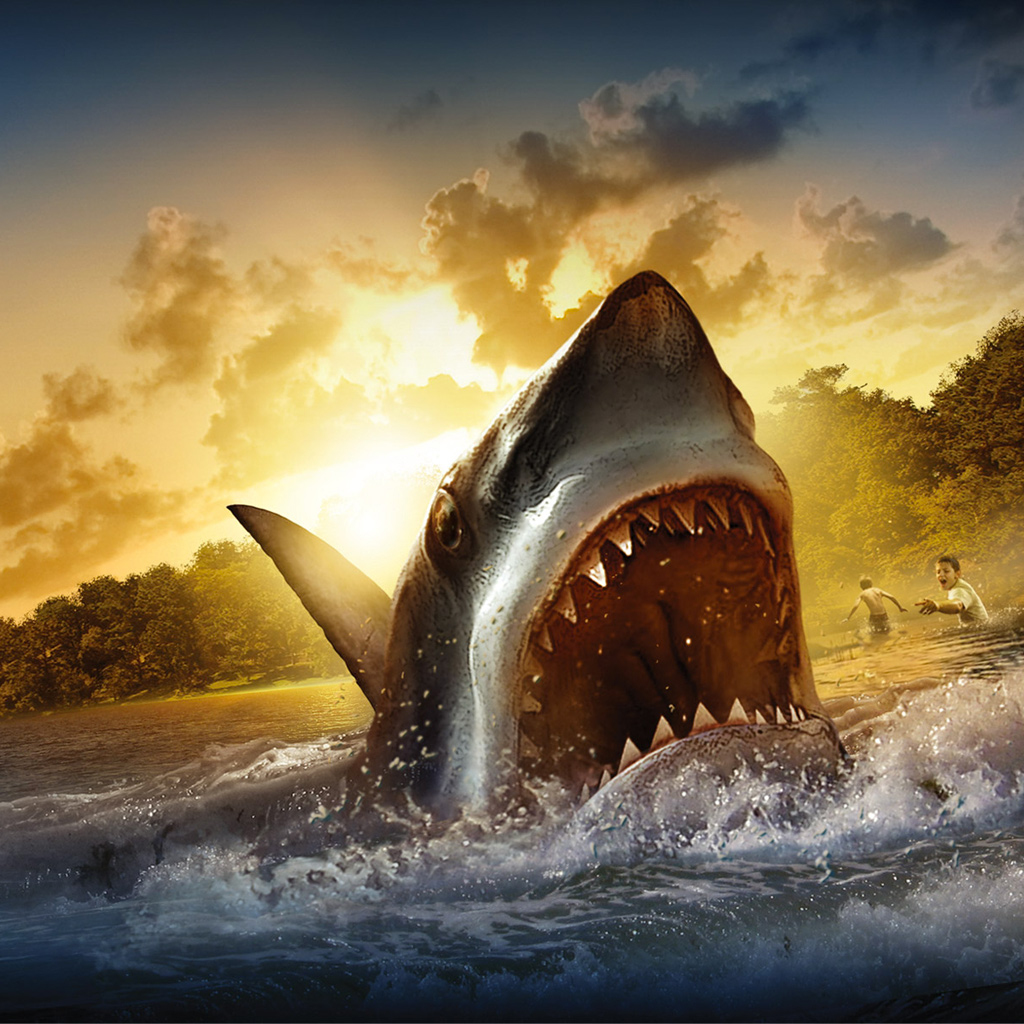 Shark Attack Wallpaper HD