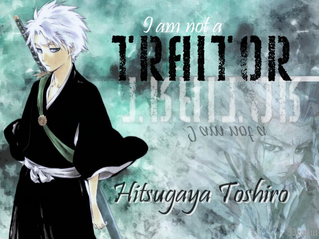 Toshiro Bleach Anime Wallpaper