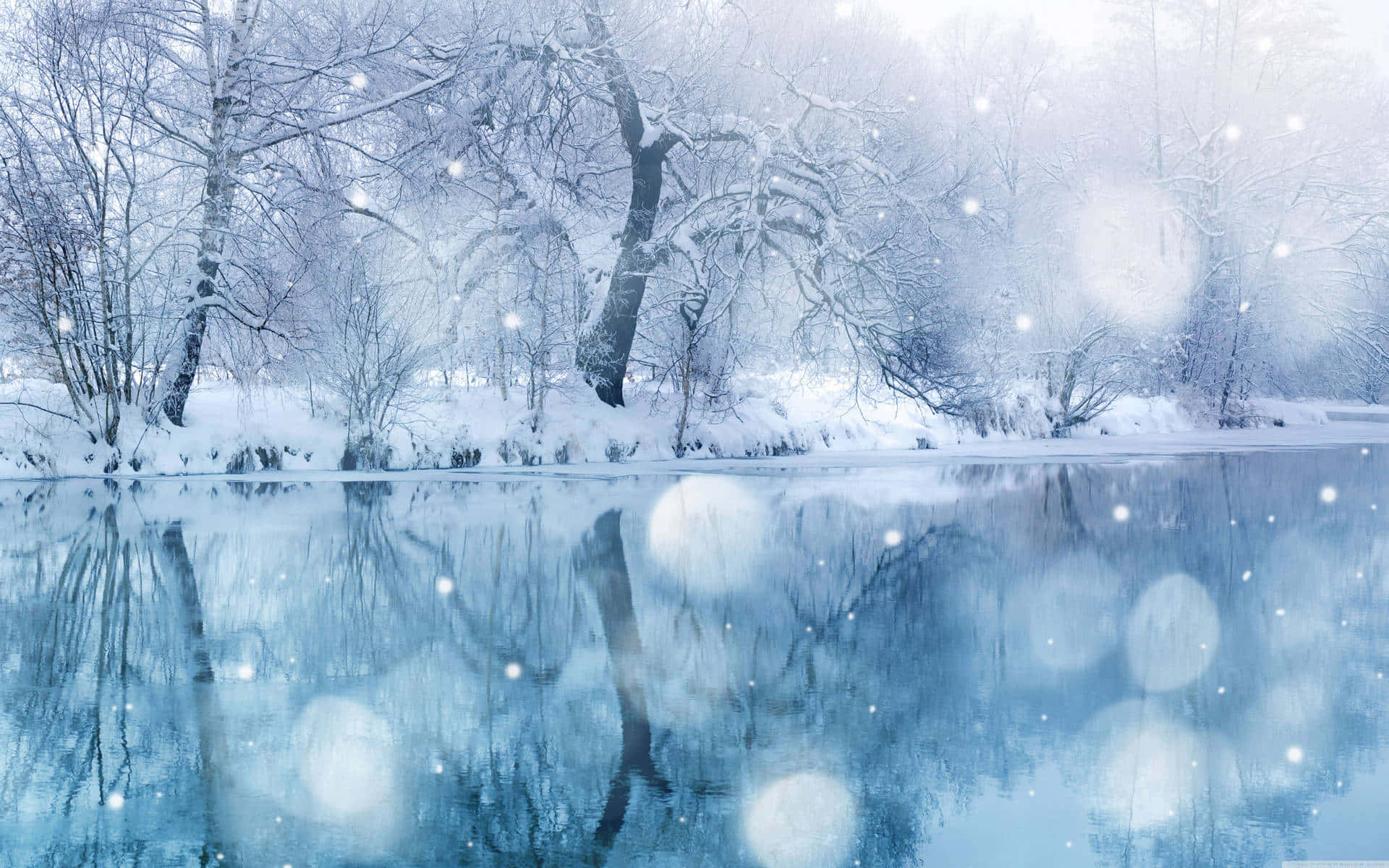 Winter Snowy Landscape Wallpaper