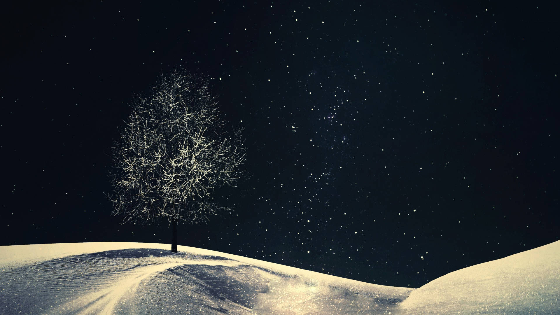 Winter Aesthetic Wallpaper