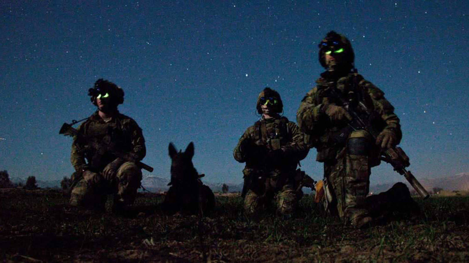 War Dogs Showing How Badass And Cute They Can Be Gizmodo Australia