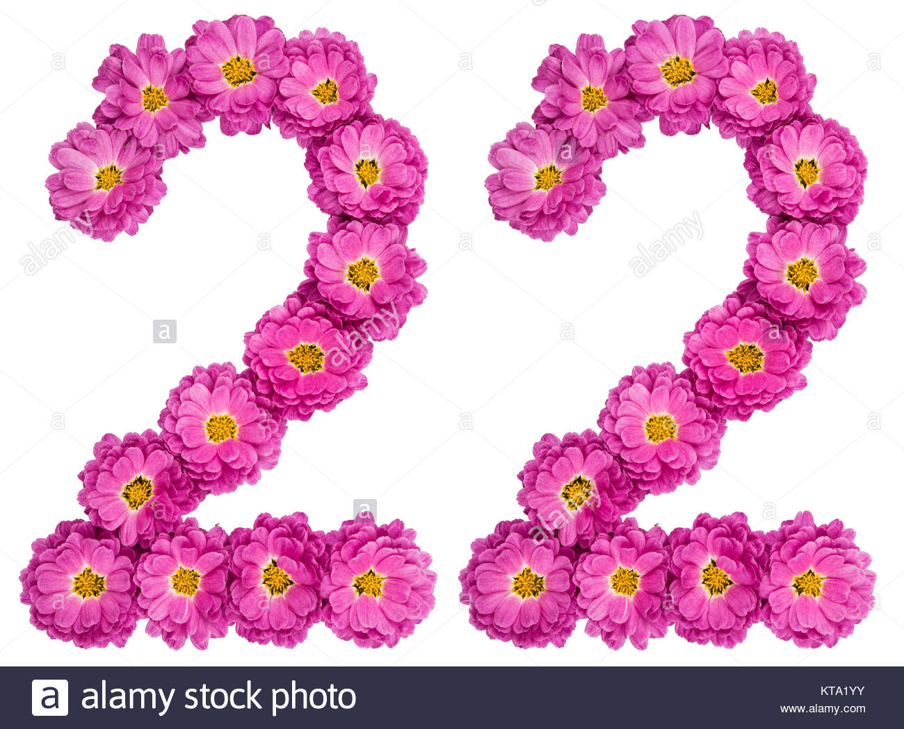 Arabic numeral twenty two from flowers of chrysanthemum Stock