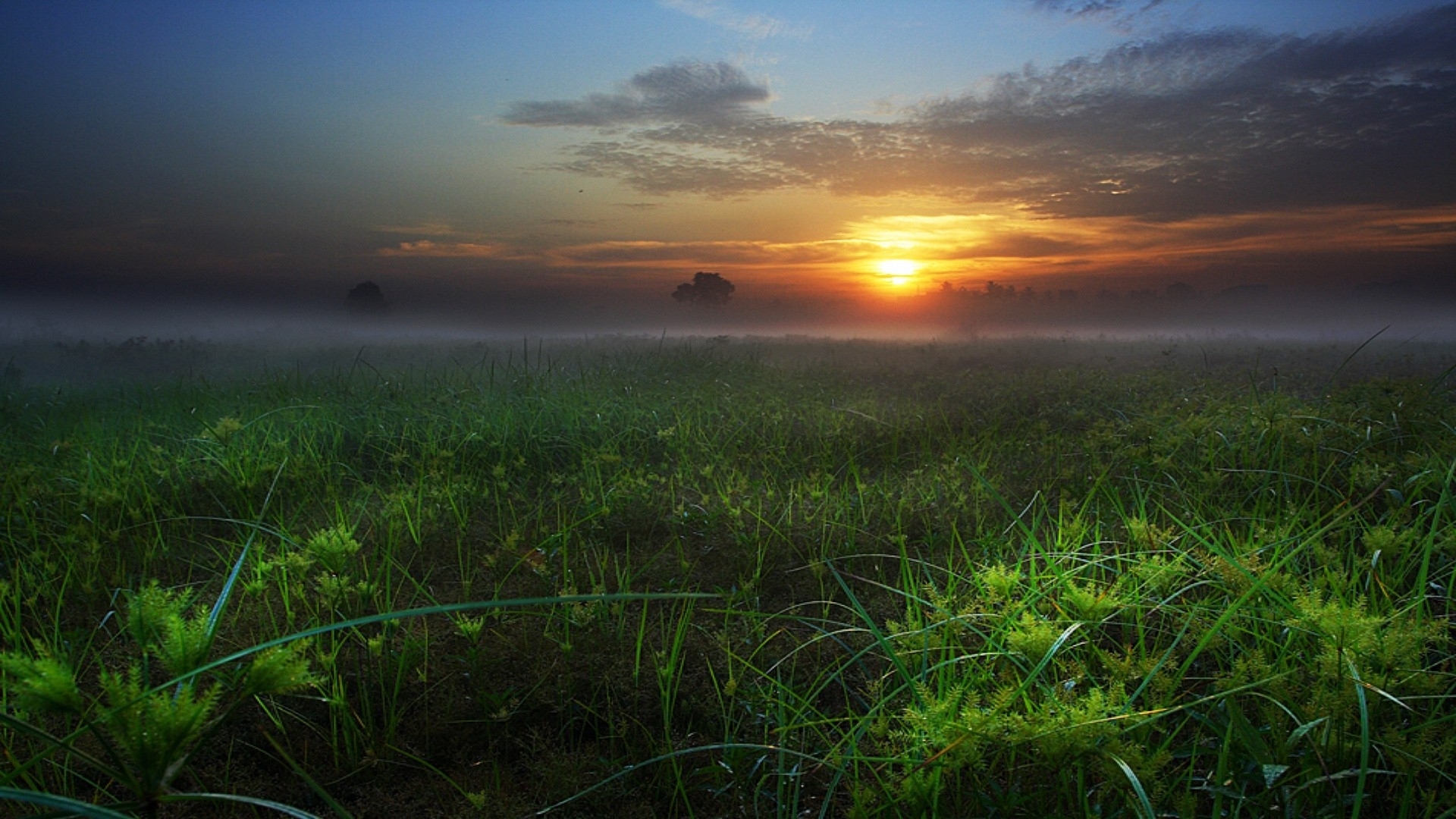 Sunrise Clouds Fog Grass Field Desktop Wallpaper