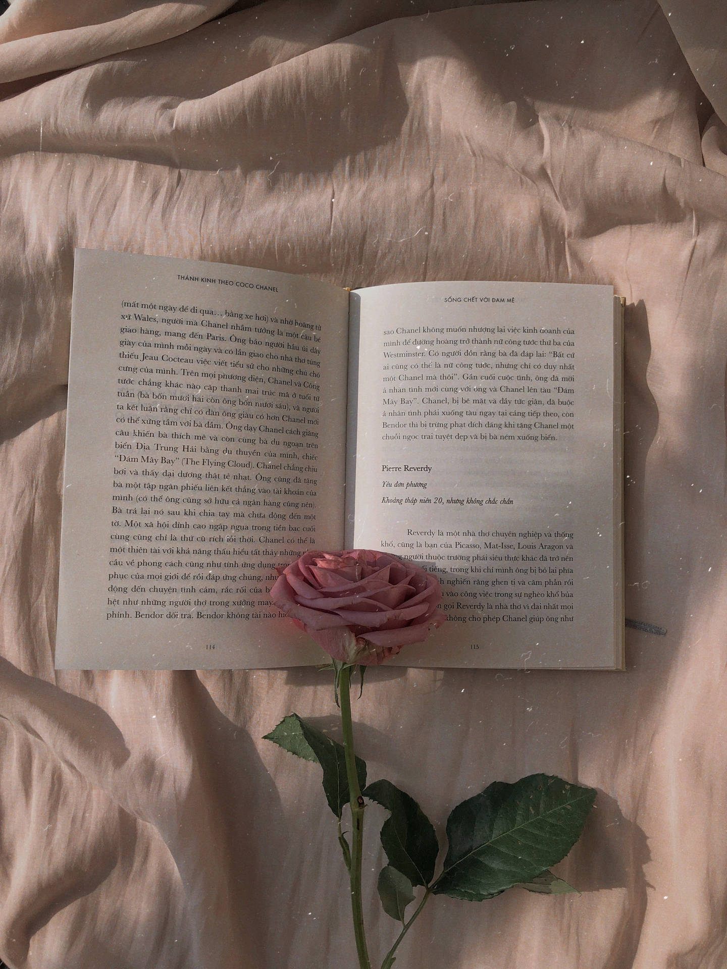 Books Aesthetic Wallpaper