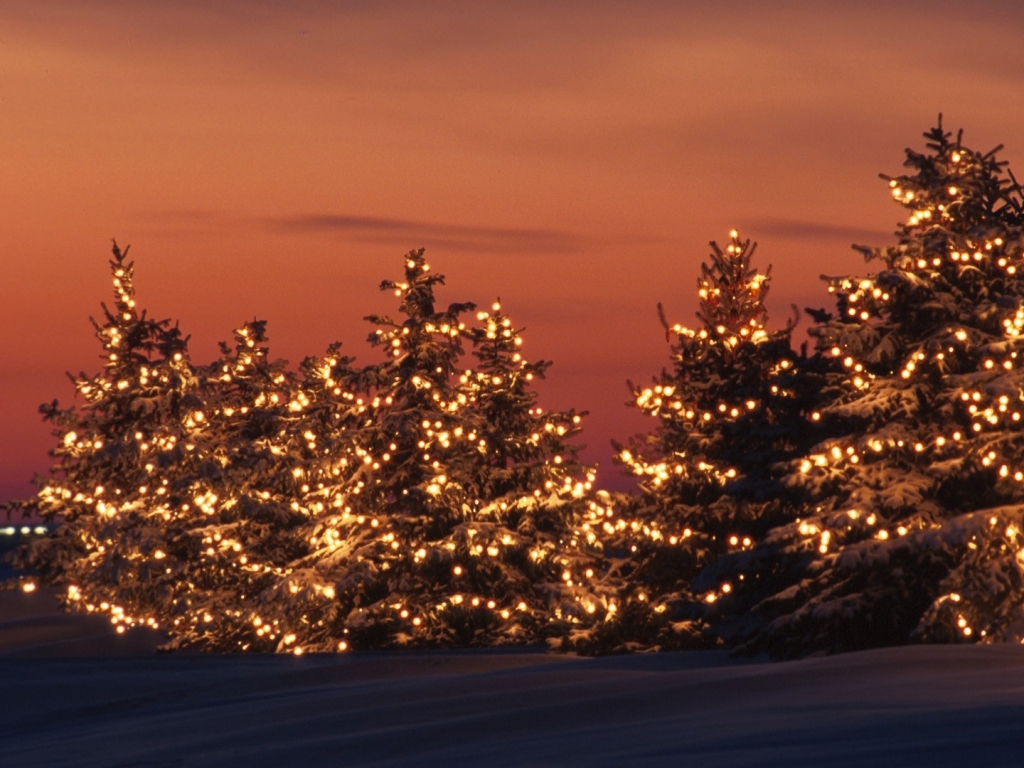 Wallpaper Winter Trees Lights World Minnesota