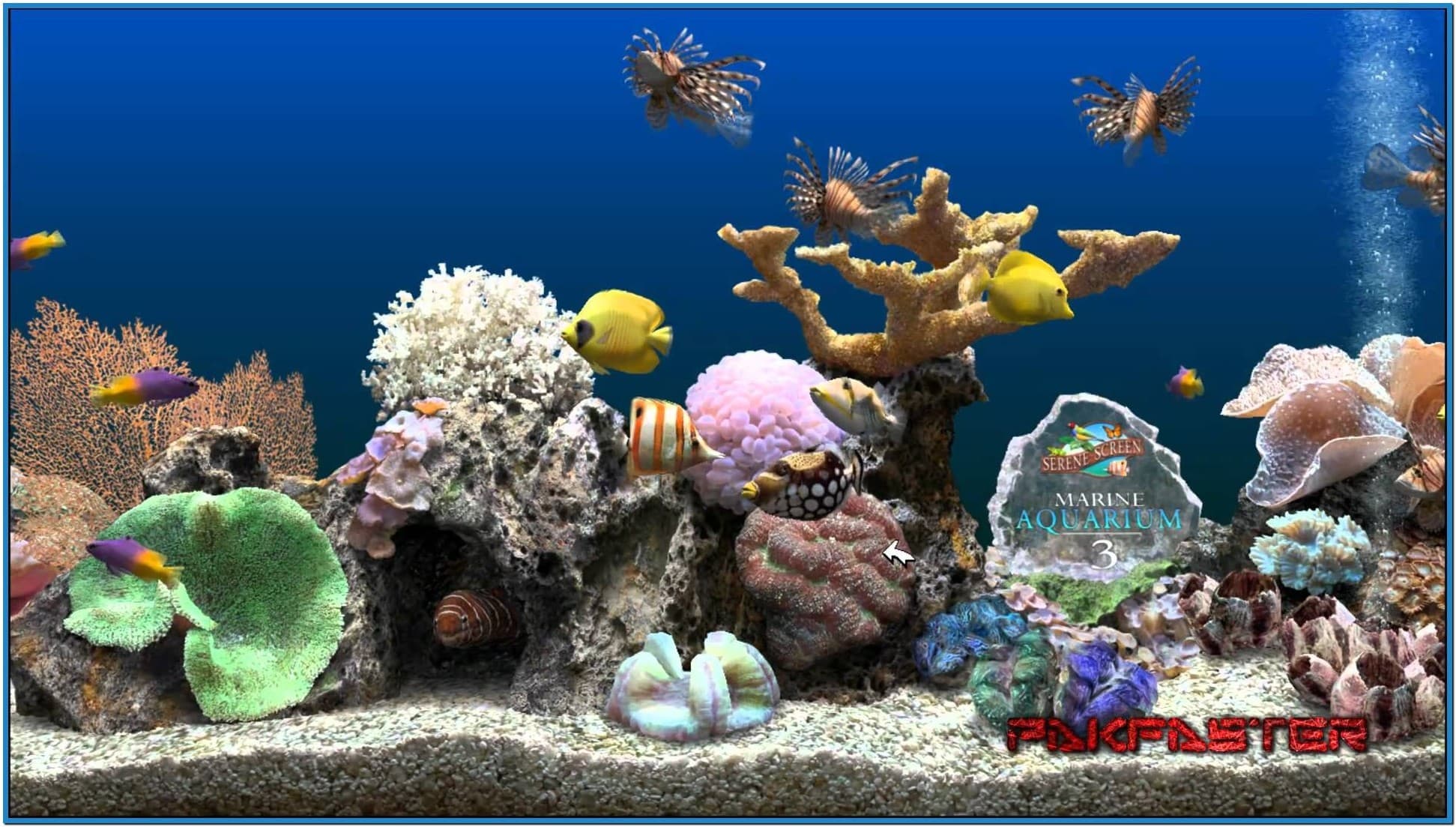 serenescreen marine aquarium 3 free download
