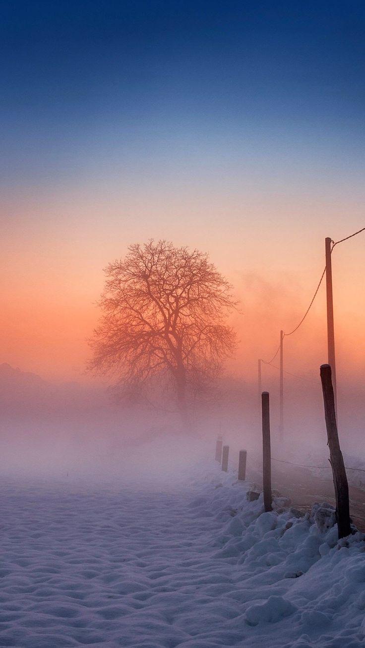 Winter Scene Fog Glow iPhone Wallpaper