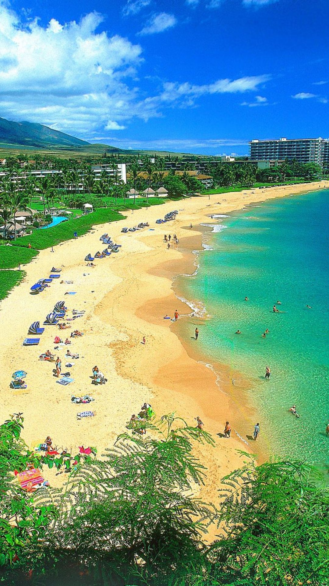 Background Kaanapali Beach Maui Hawaii For iPhone Plus Full HD