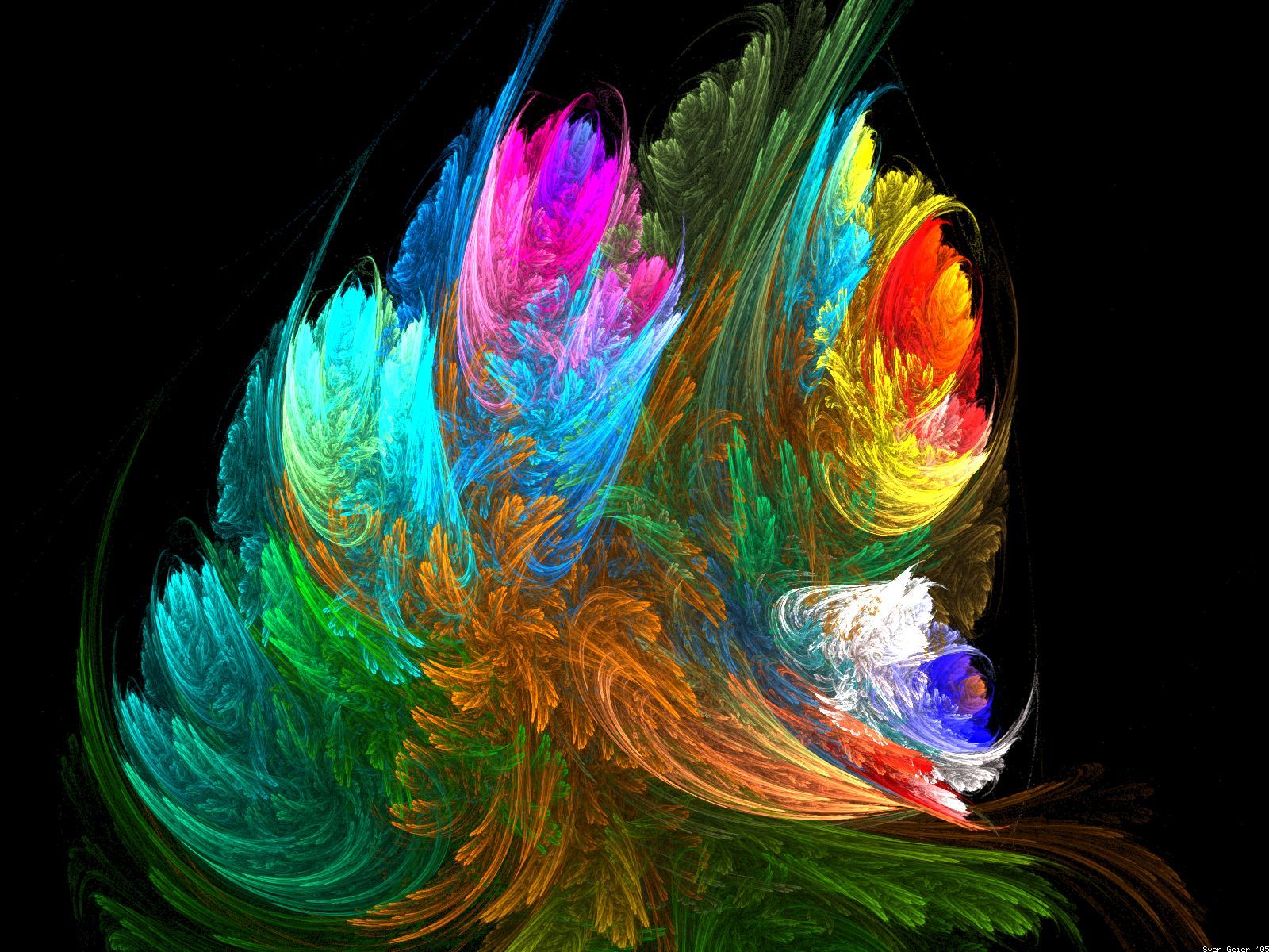 Vivid 3D abstract fractal art resembling colorful plumes or feathers on a black background