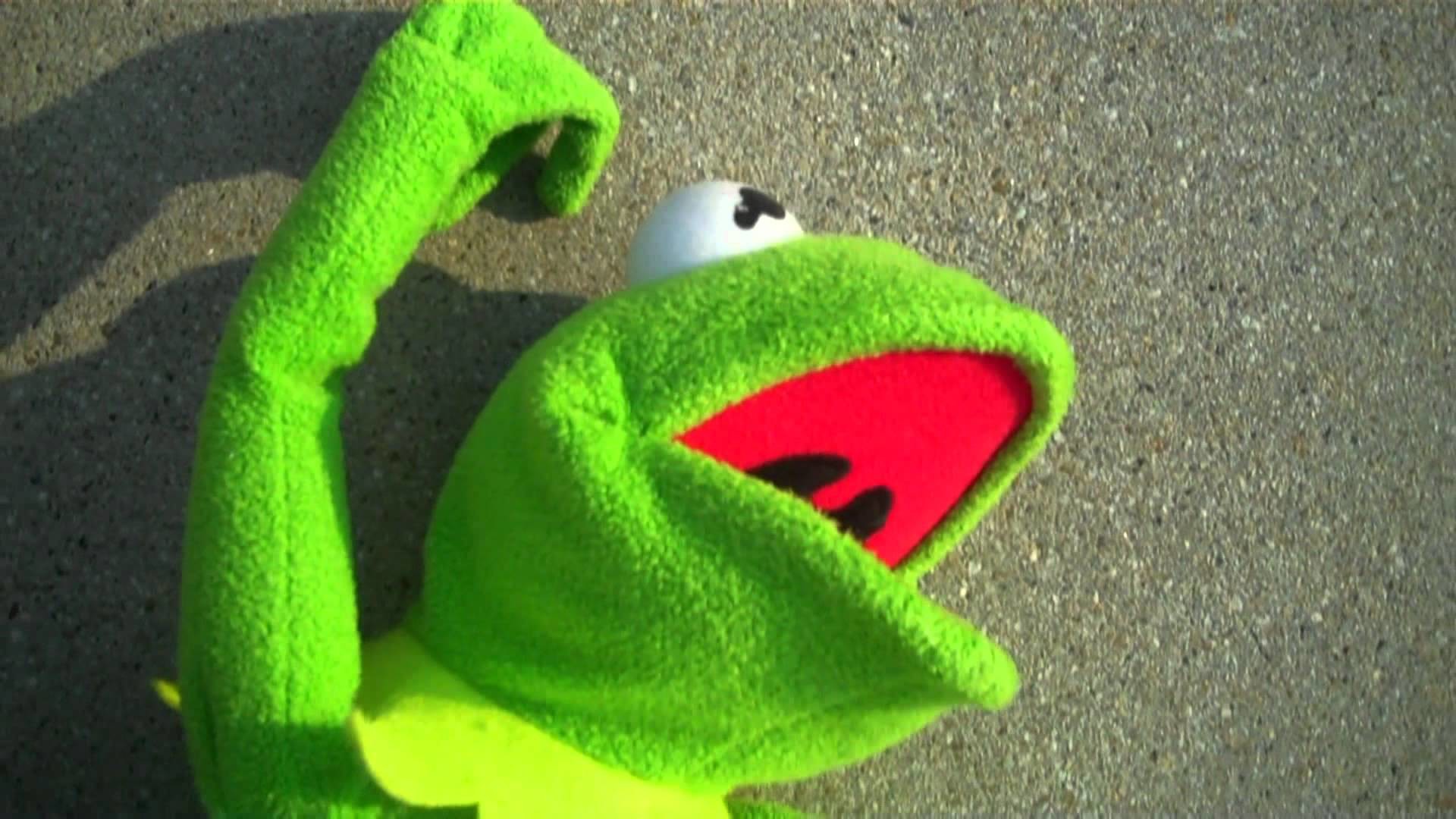 Kermit The Frog Wallpaper