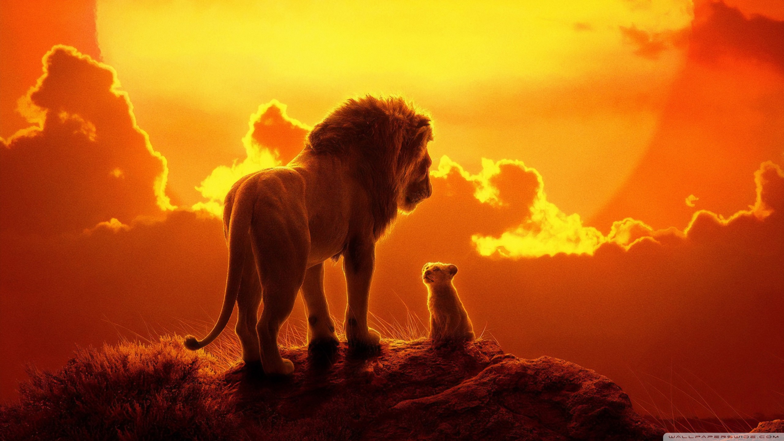 The Lion King 4k HD Desktop Wallpaper For Ultra Tv
