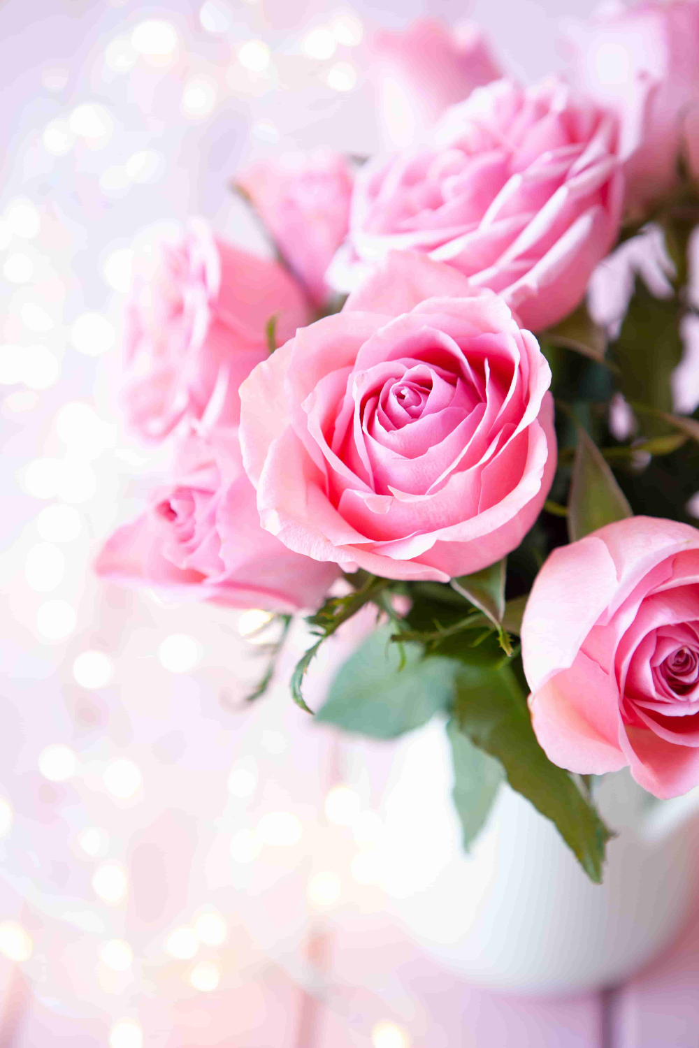 Pink Roses HD Wallpapers   Top Free Pink Roses HD Backgrounds