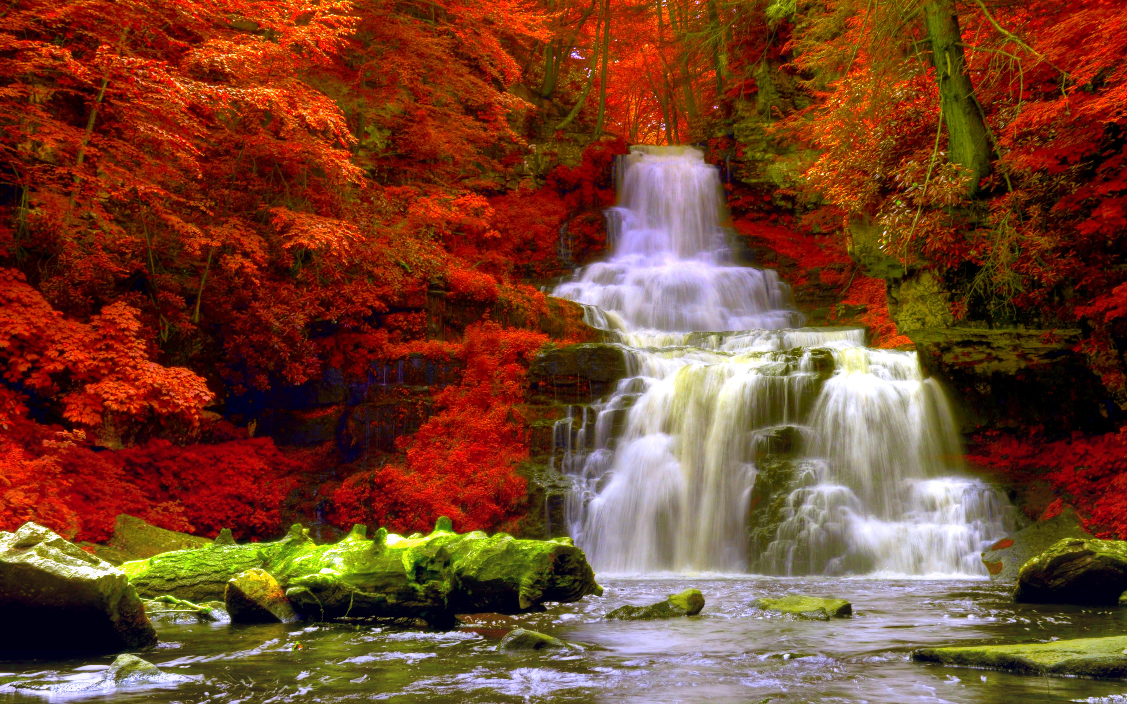Autumn Forest Waterfalls High Quality And Resolution