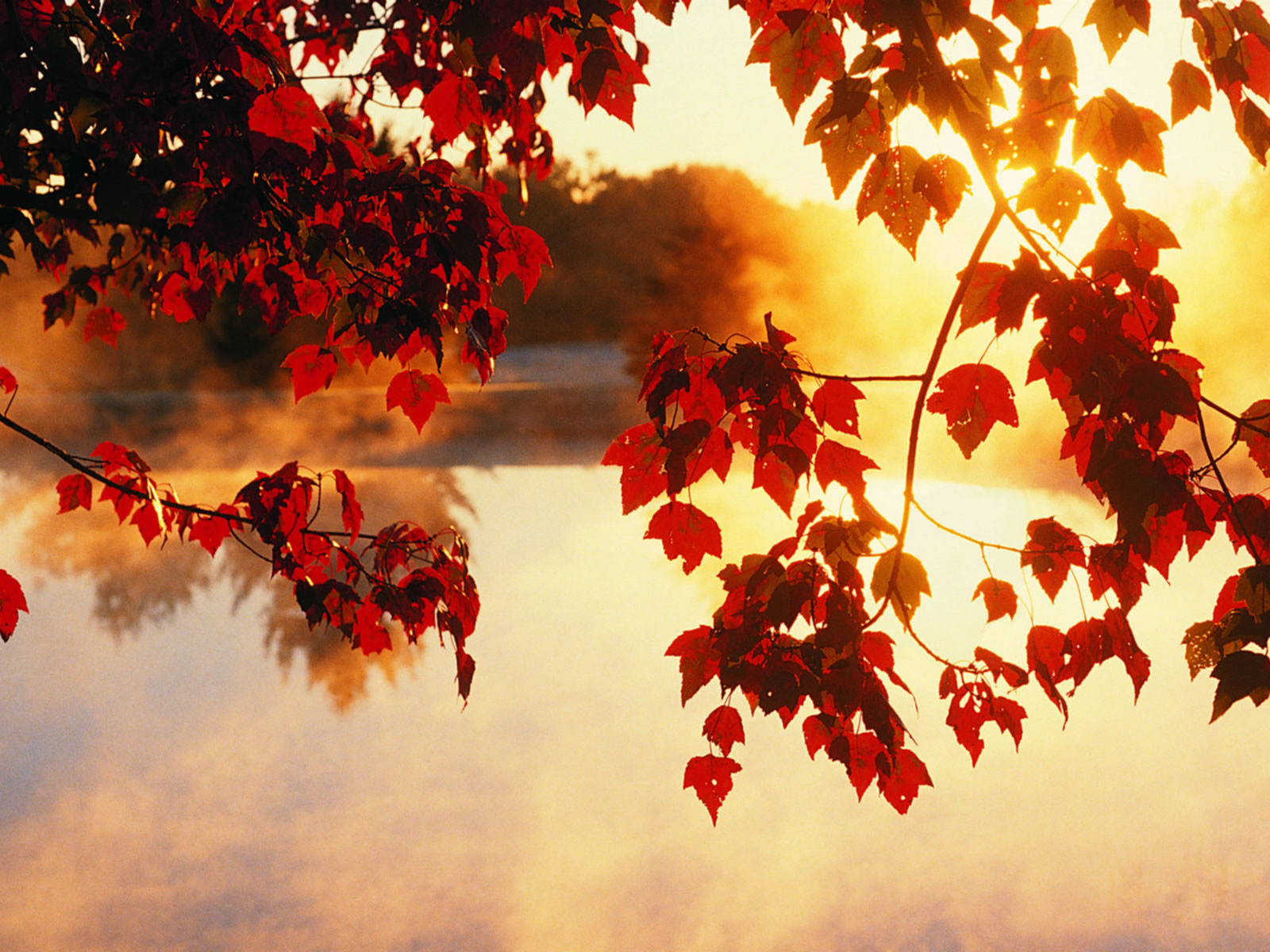 Autumn Fall Desktop Wallpaper In HD
