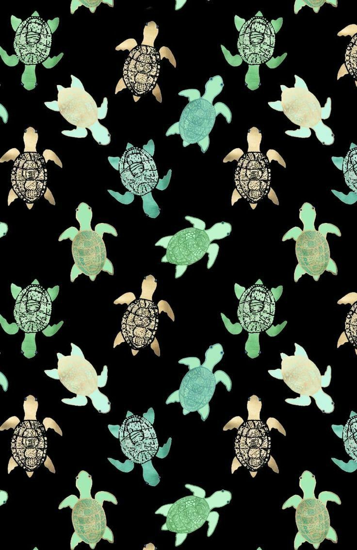 Nasta Si On Back Wallpaper