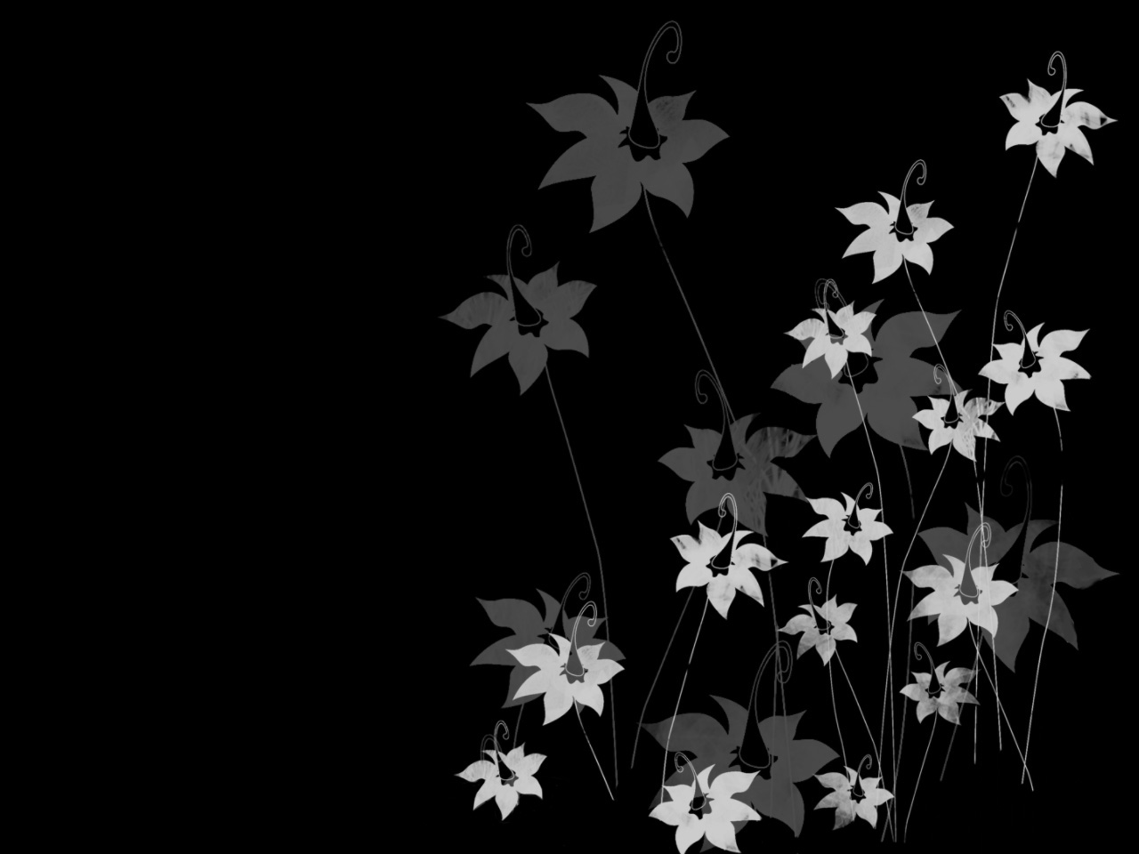 Background Black Flowers Wallpaper HD
