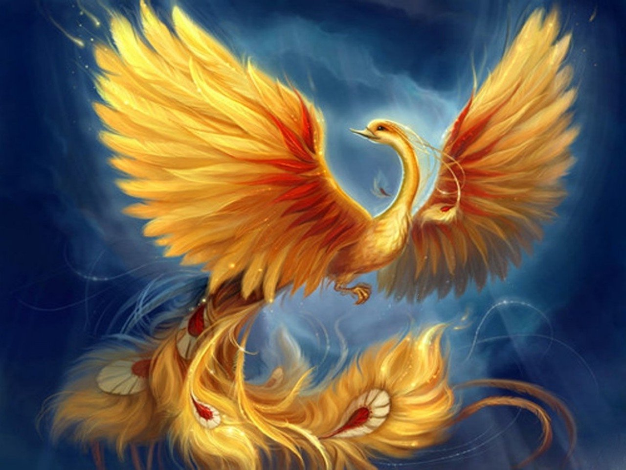 Fantasy Phoenix Wallpaper Desktop Background
