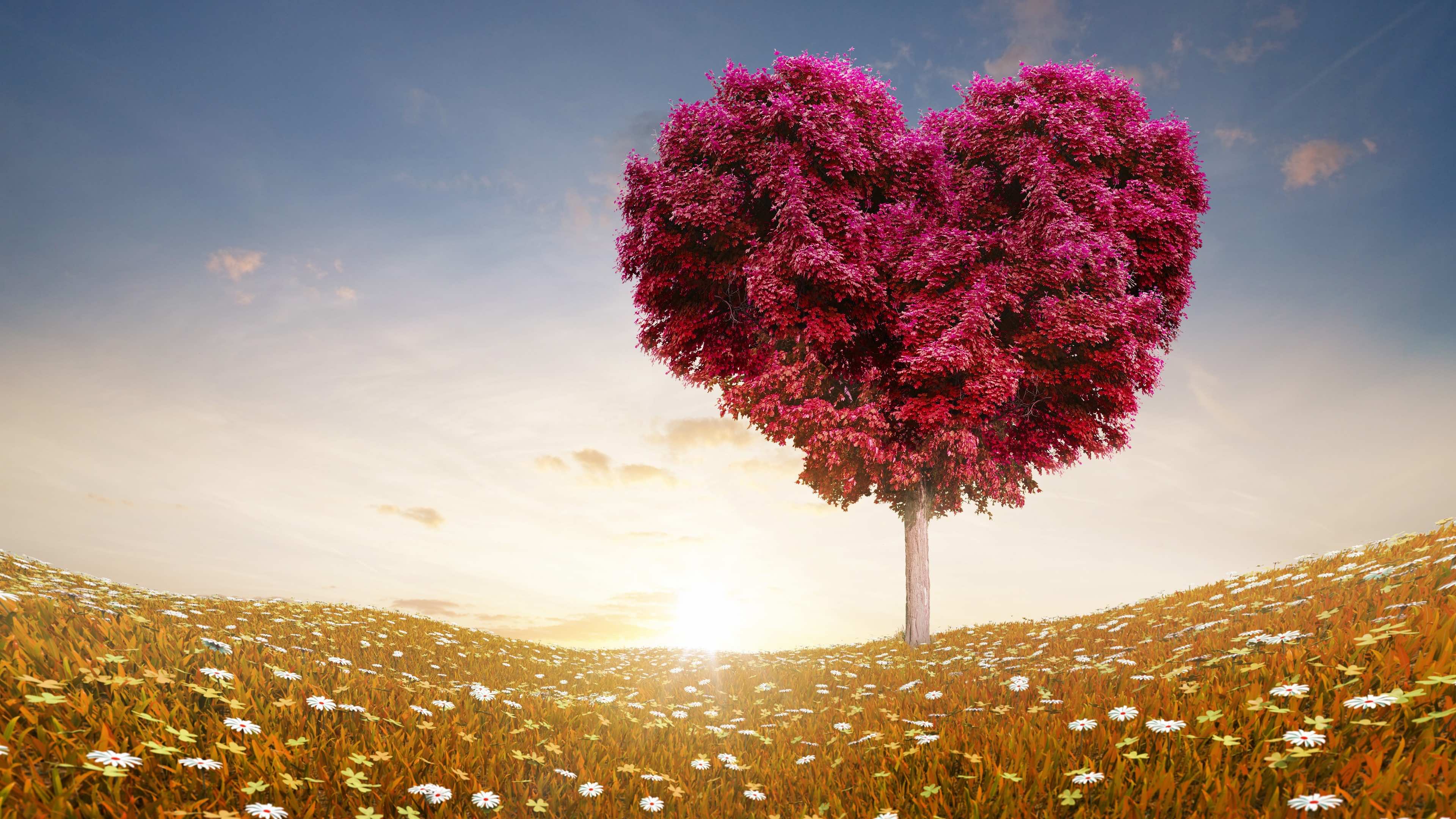 A heart-shaped tree stands in a field of flowers, symbolizing love and nature's beauty