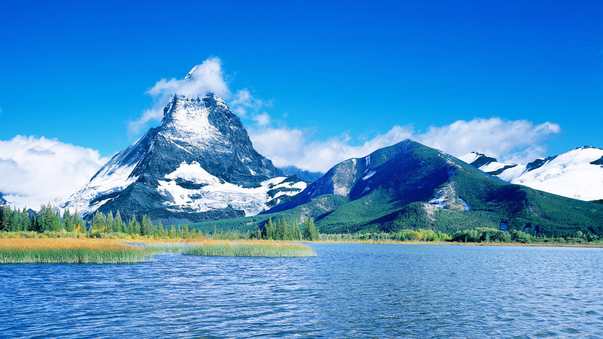 Full HD Nature Wallpaper