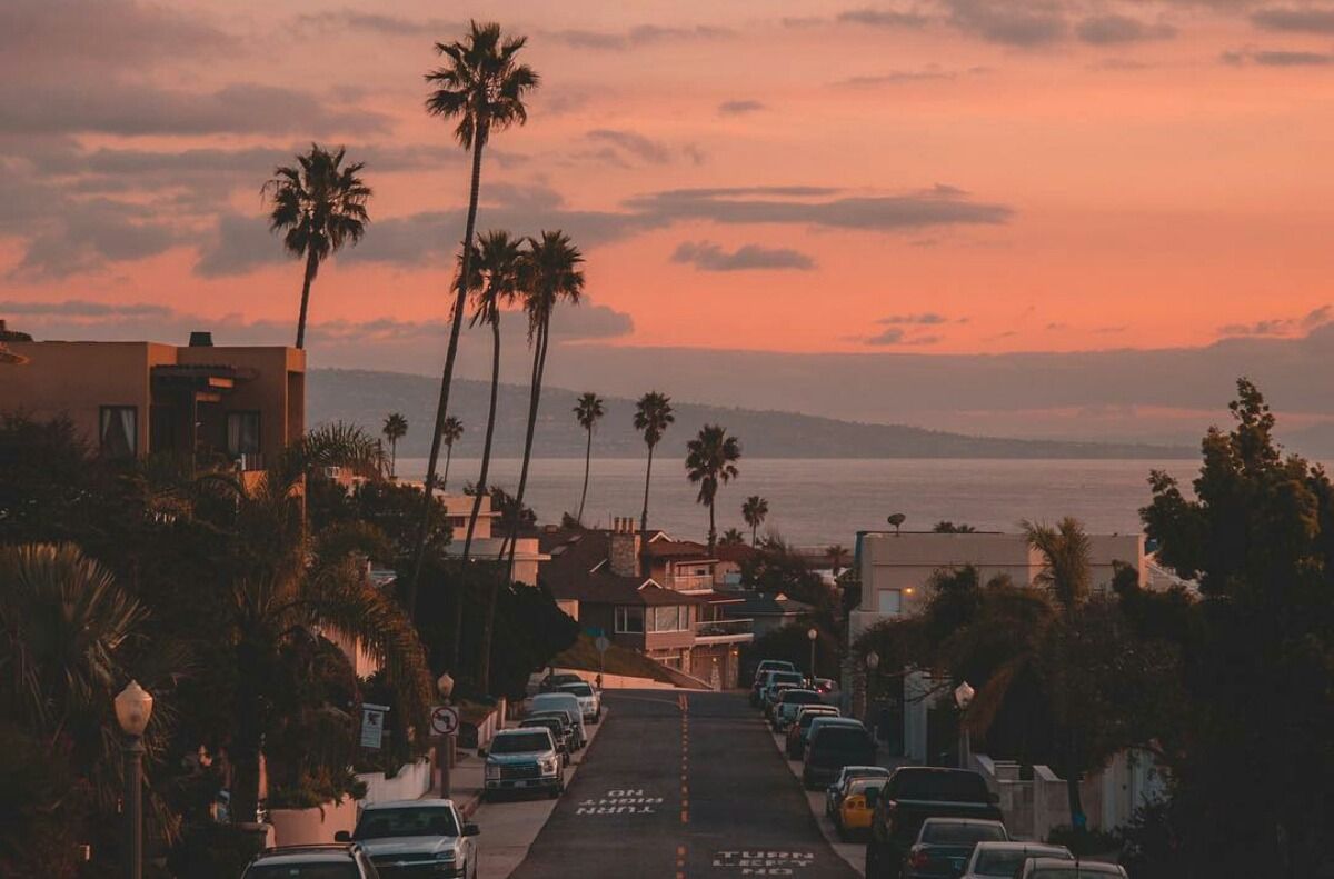 Indigo Wings On Socal Wallpaper