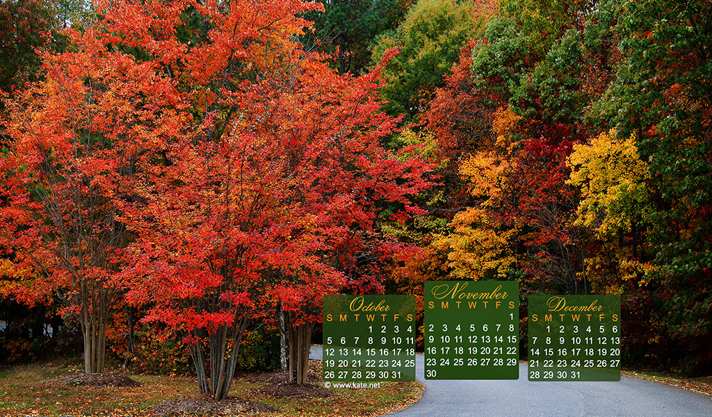 November Calendar Wallpaper