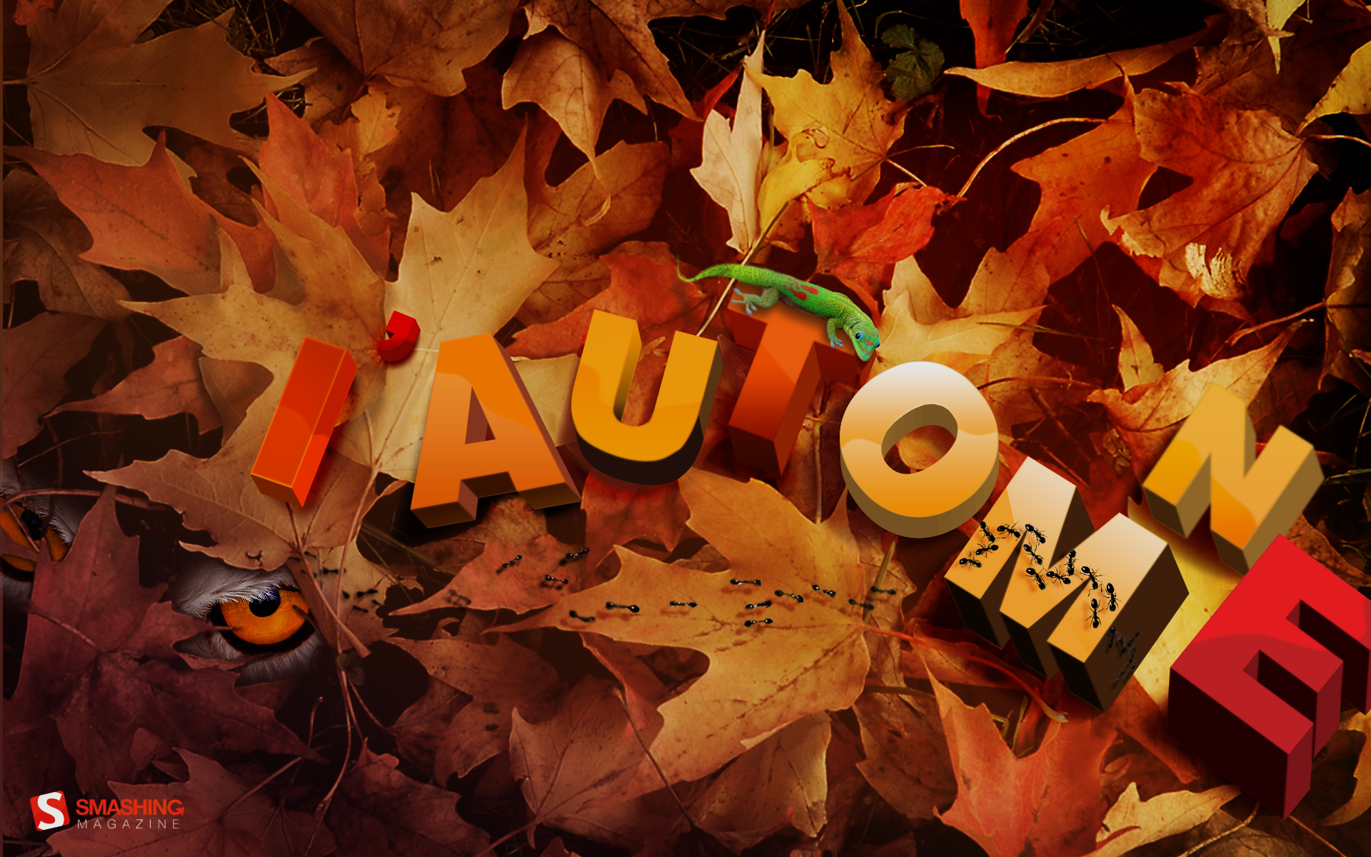 Autumn Theme Wallpaper And Image Pictures