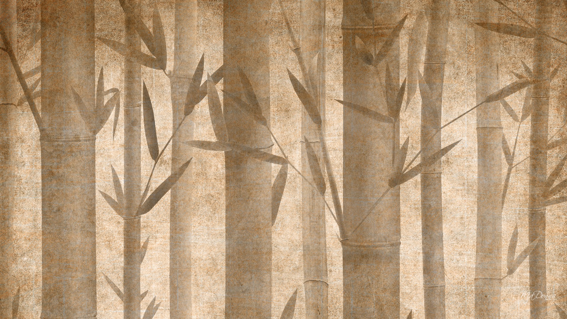 Free download Bamboo Texture Wallpapers hd background hd screensavers