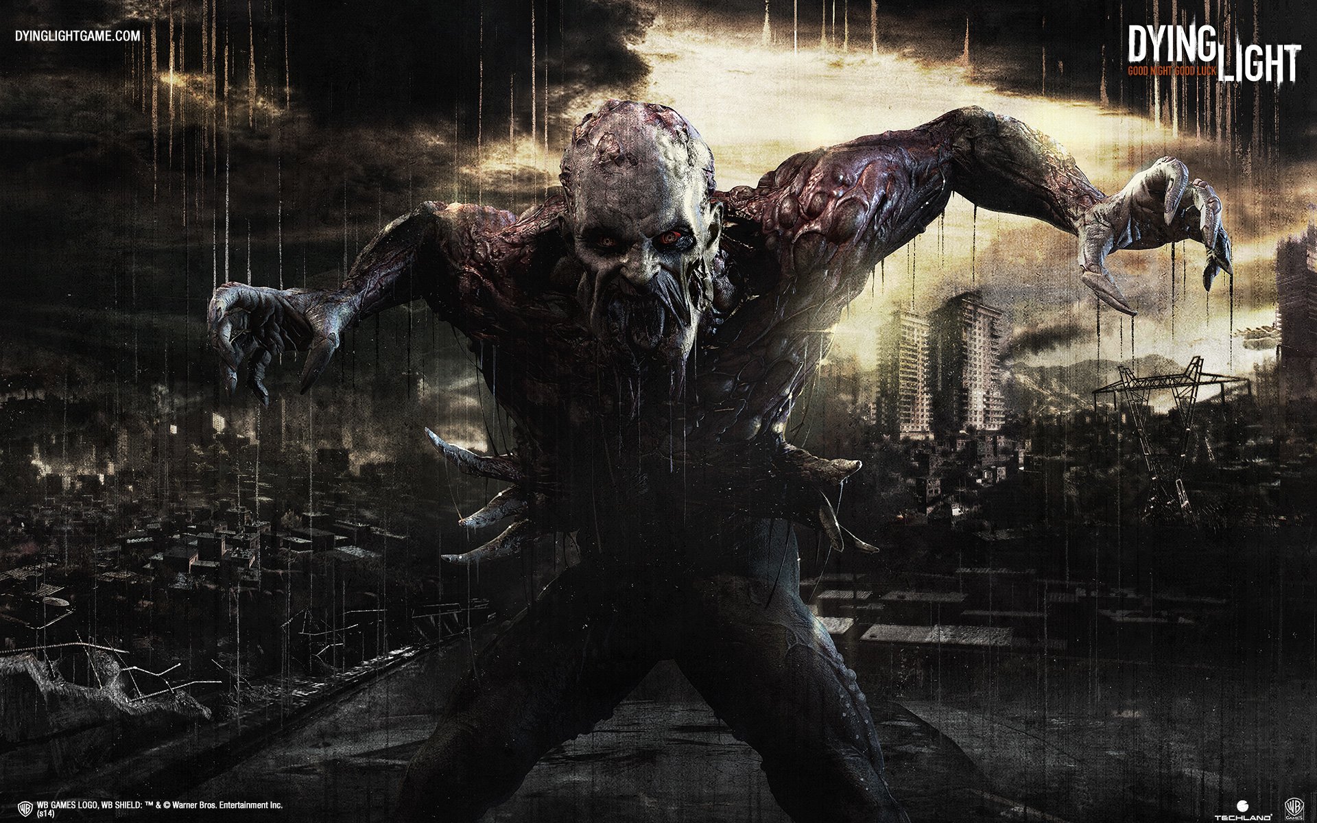 Dying Light HD Wallpaper Background Image